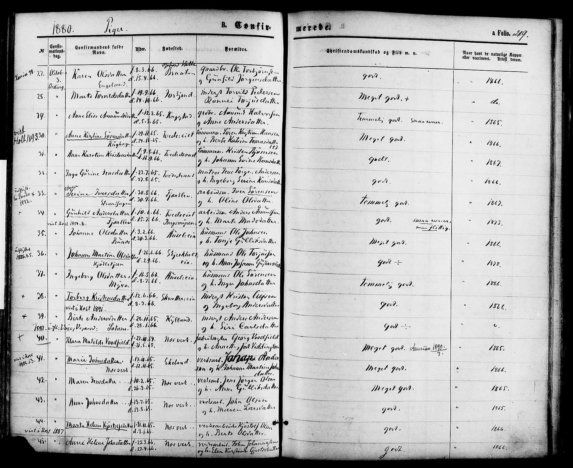 Holt sokneprestkontor, AV/SAK-1111-0021/F/Fa/L0010: Parish register (official) no. A 10, 1872-1885, p. 219