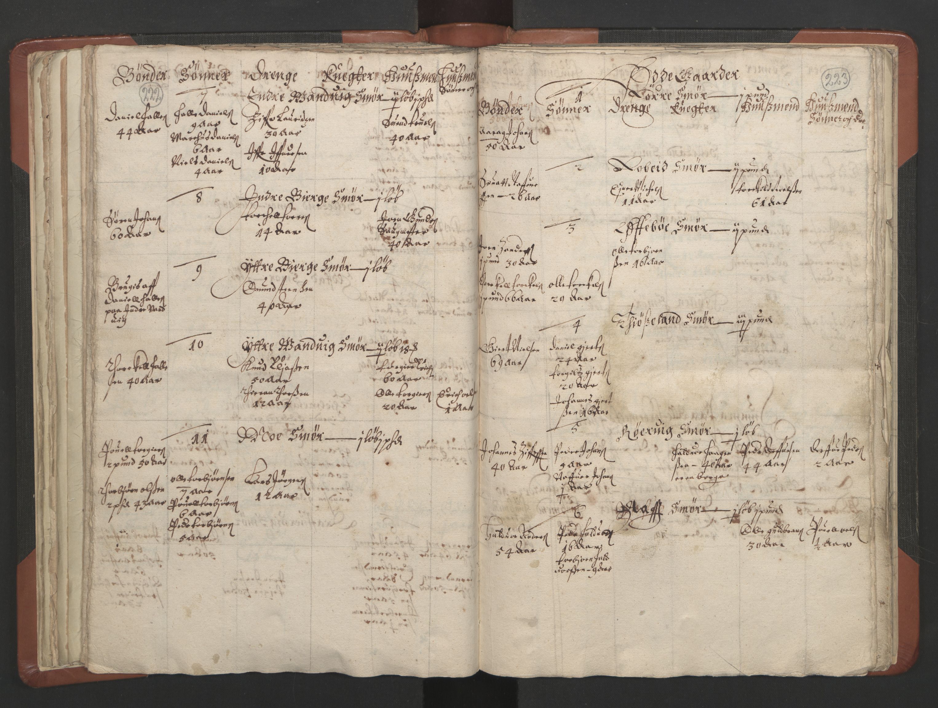 RA, Vicar's Census 1664-1666, no. 19: Ryfylke deanery, 1664-1666, p. 222-223