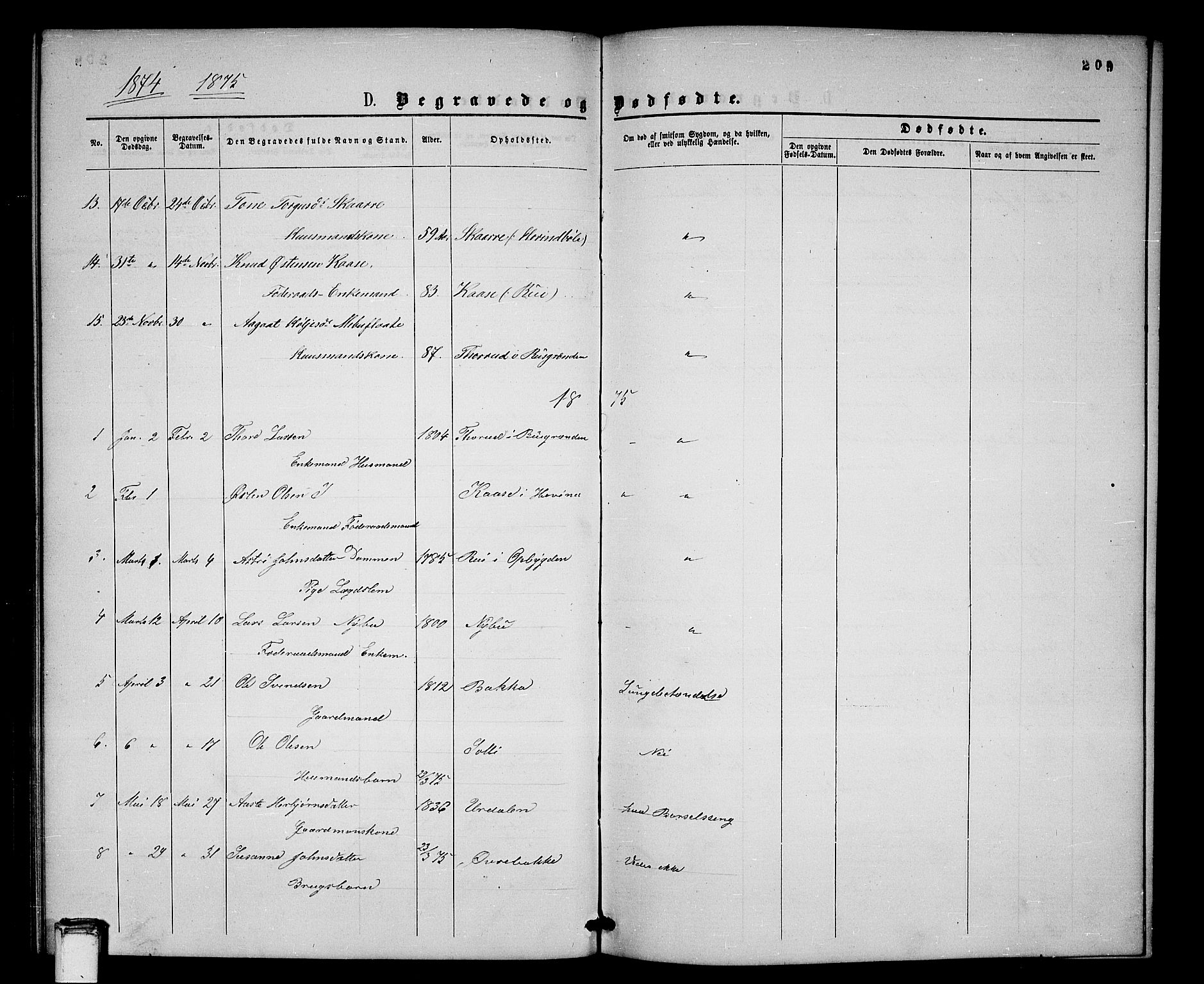 Gransherad kirkebøker, SAKO/A-267/G/Gb/L0002: Parish register (copy) no. II 2, 1860-1886, p. 209