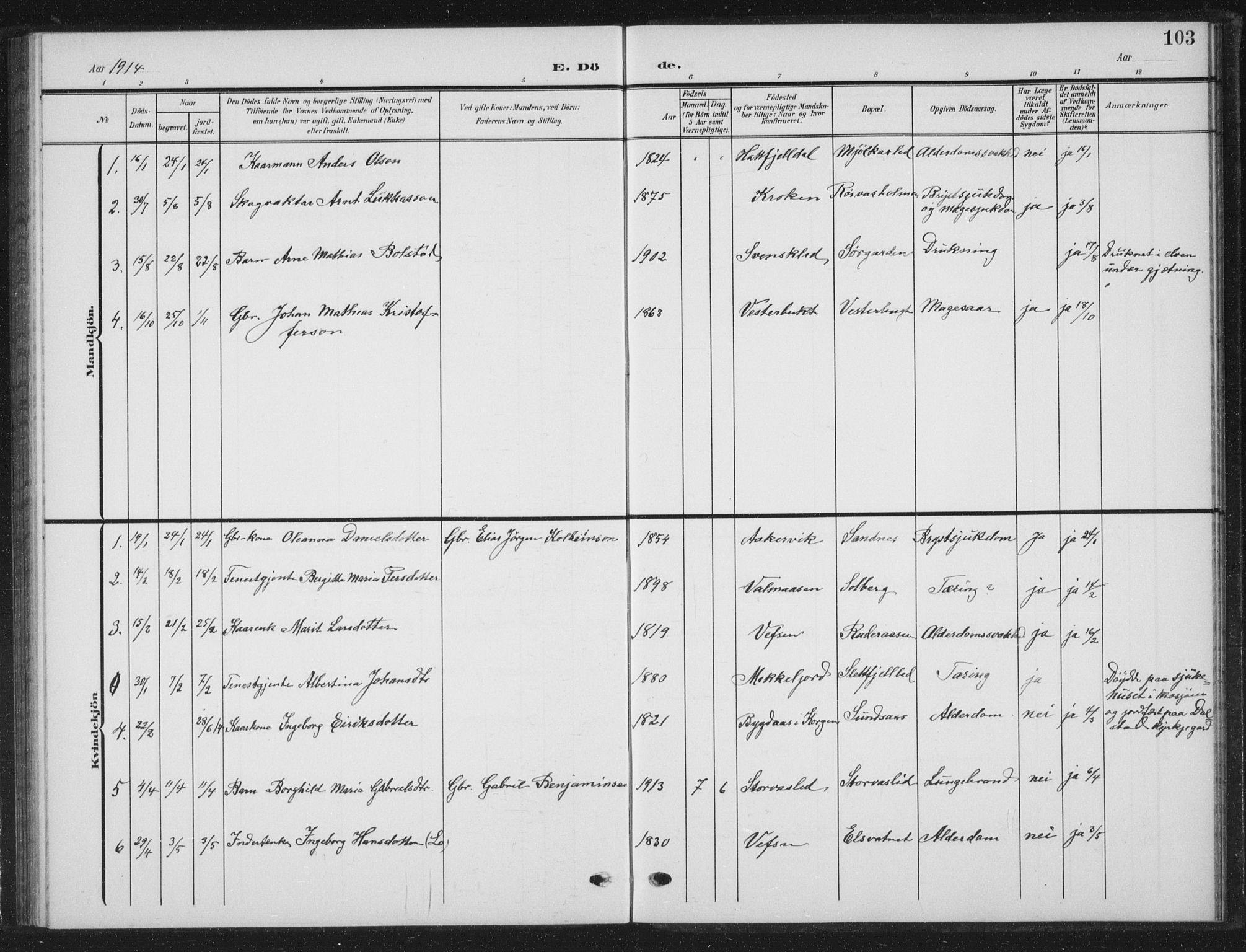 Ministerialprotokoller, klokkerbøker og fødselsregistre - Nordland, AV/SAT-A-1459/823/L0331: Parish register (copy) no. 823C03, 1905-1934, p. 103