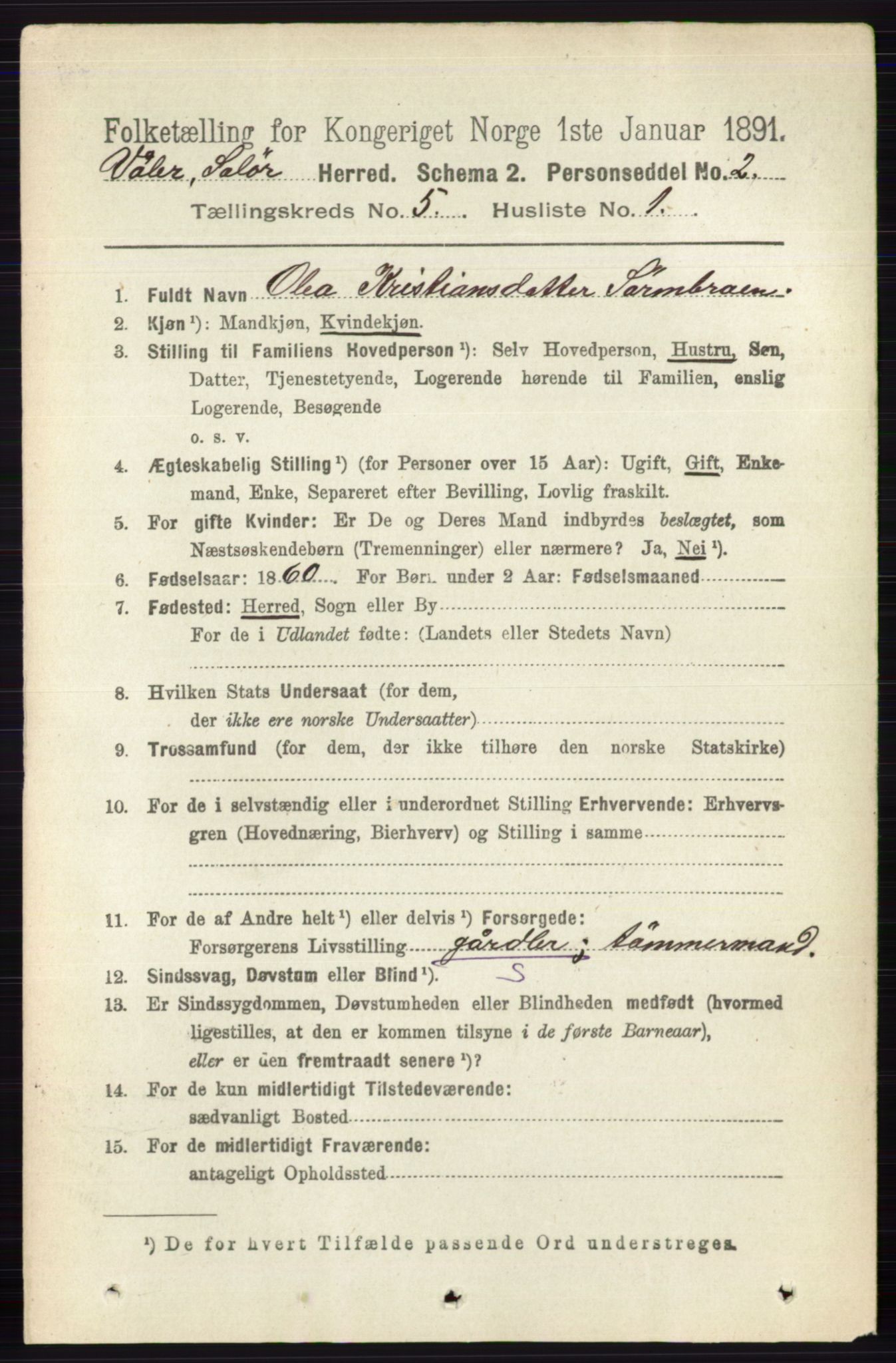 RA, 1891 census for 0426 Våler, 1891, p. 1898