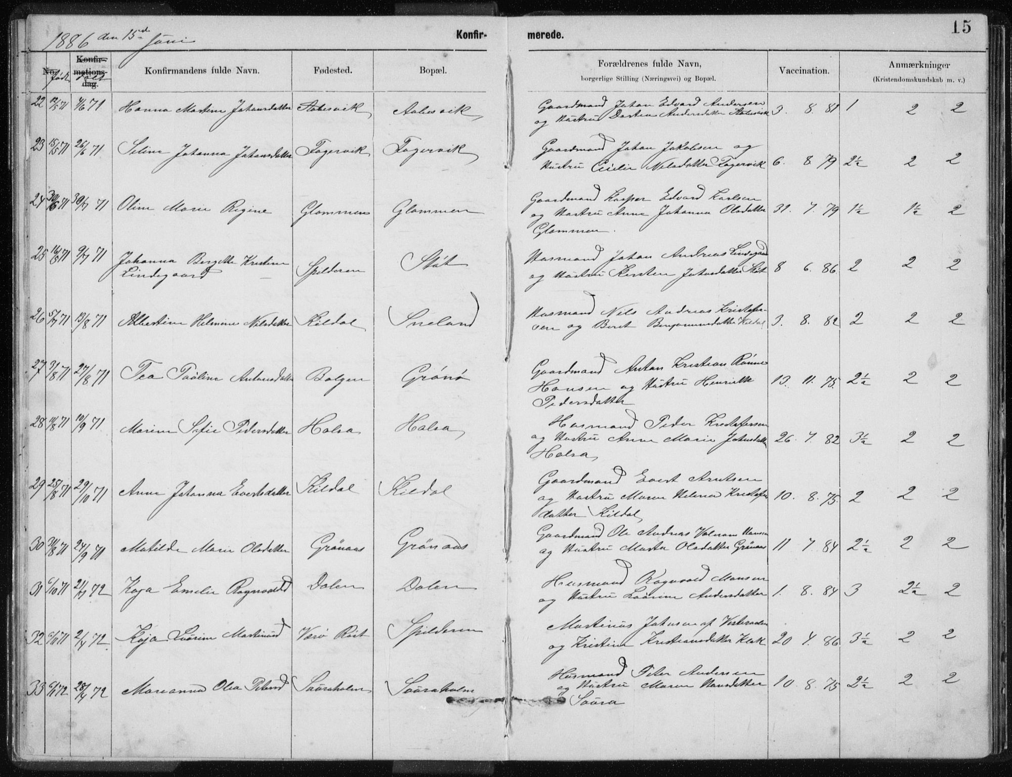 Ministerialprotokoller, klokkerbøker og fødselsregistre - Nordland, SAT/A-1459/843/L0637: Parish register (copy) no. 843C06, 1884-1908, p. 15