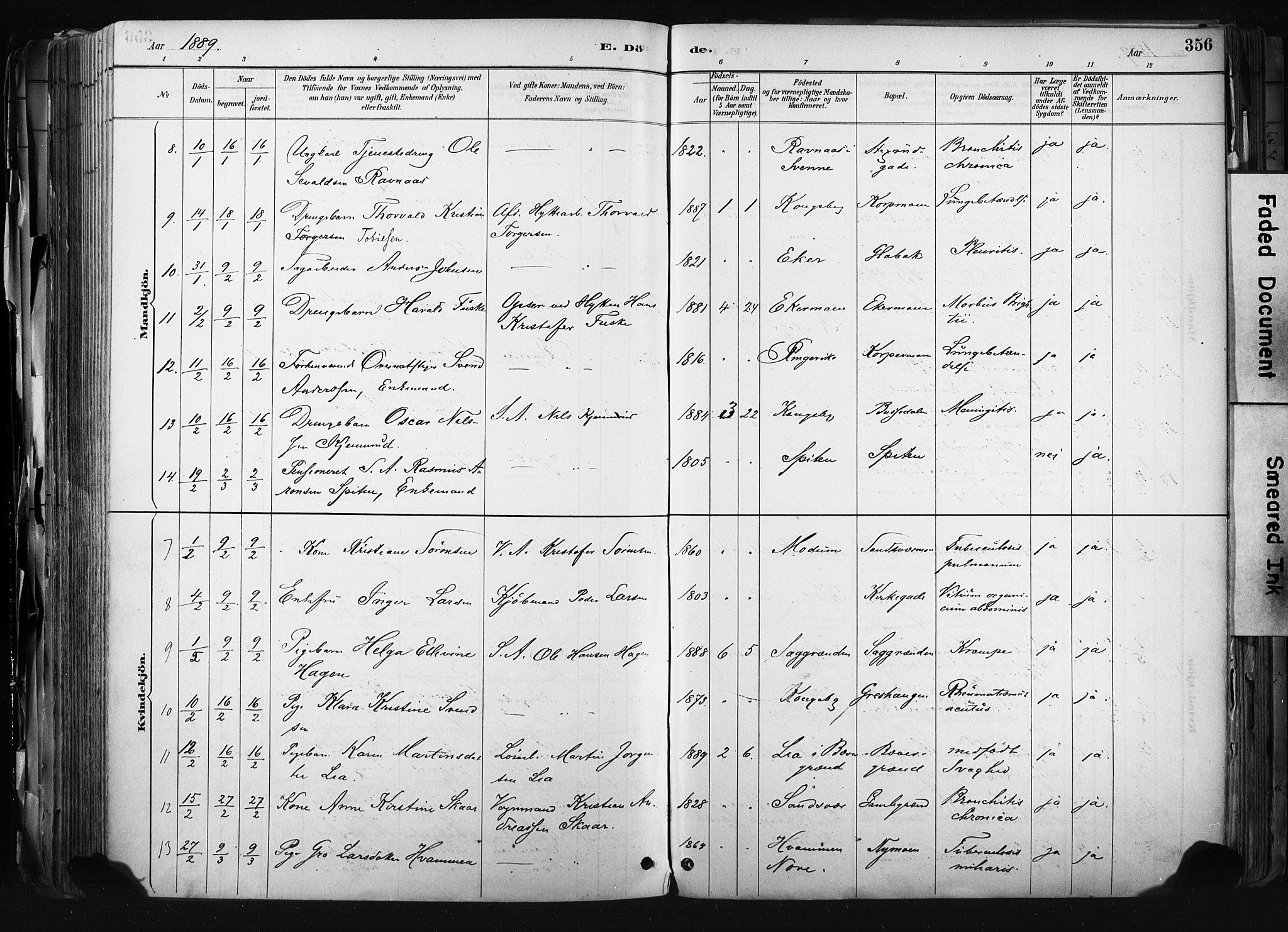 Kongsberg kirkebøker, AV/SAKO-A-22/F/Fb/L0002: Parish register (official) no. II 2, 1886-1896, p. 356