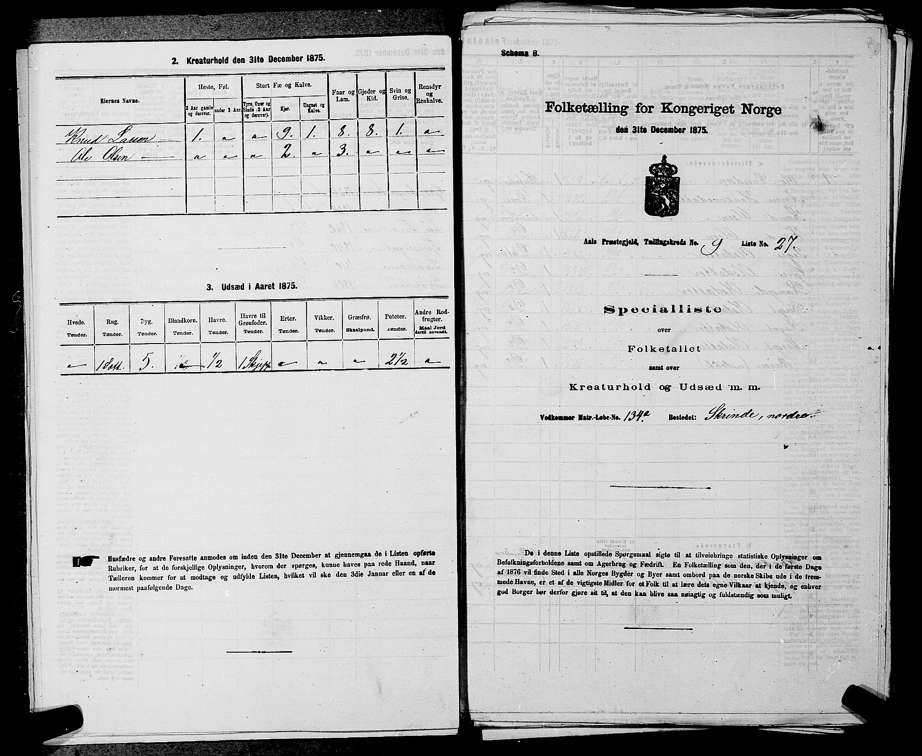 SAKO, 1875 census for 0619P Ål, 1875, p. 1150