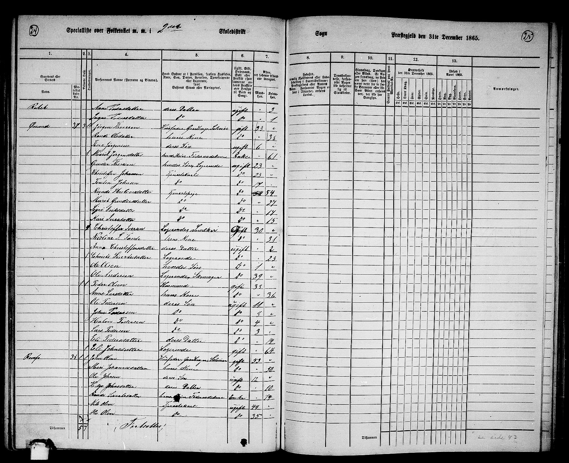 RA, 1865 census for Sunndal, 1865, p. 29