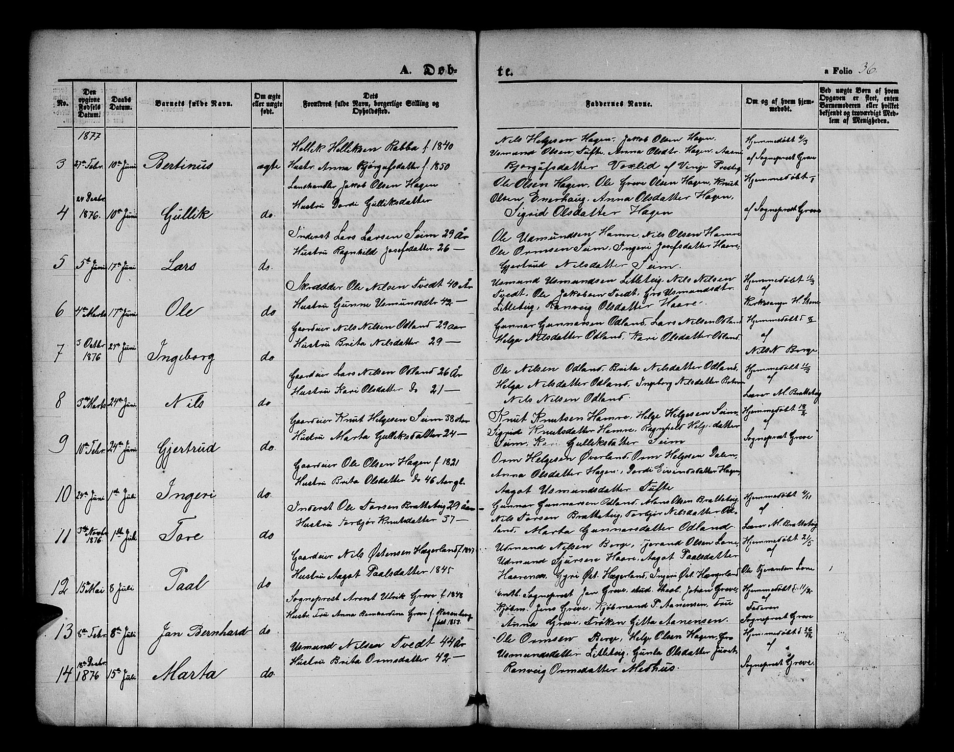 Røldal sokneprestembete, SAB/A-100247: Parish register (copy) no. A 2, 1861-1886, p. 36