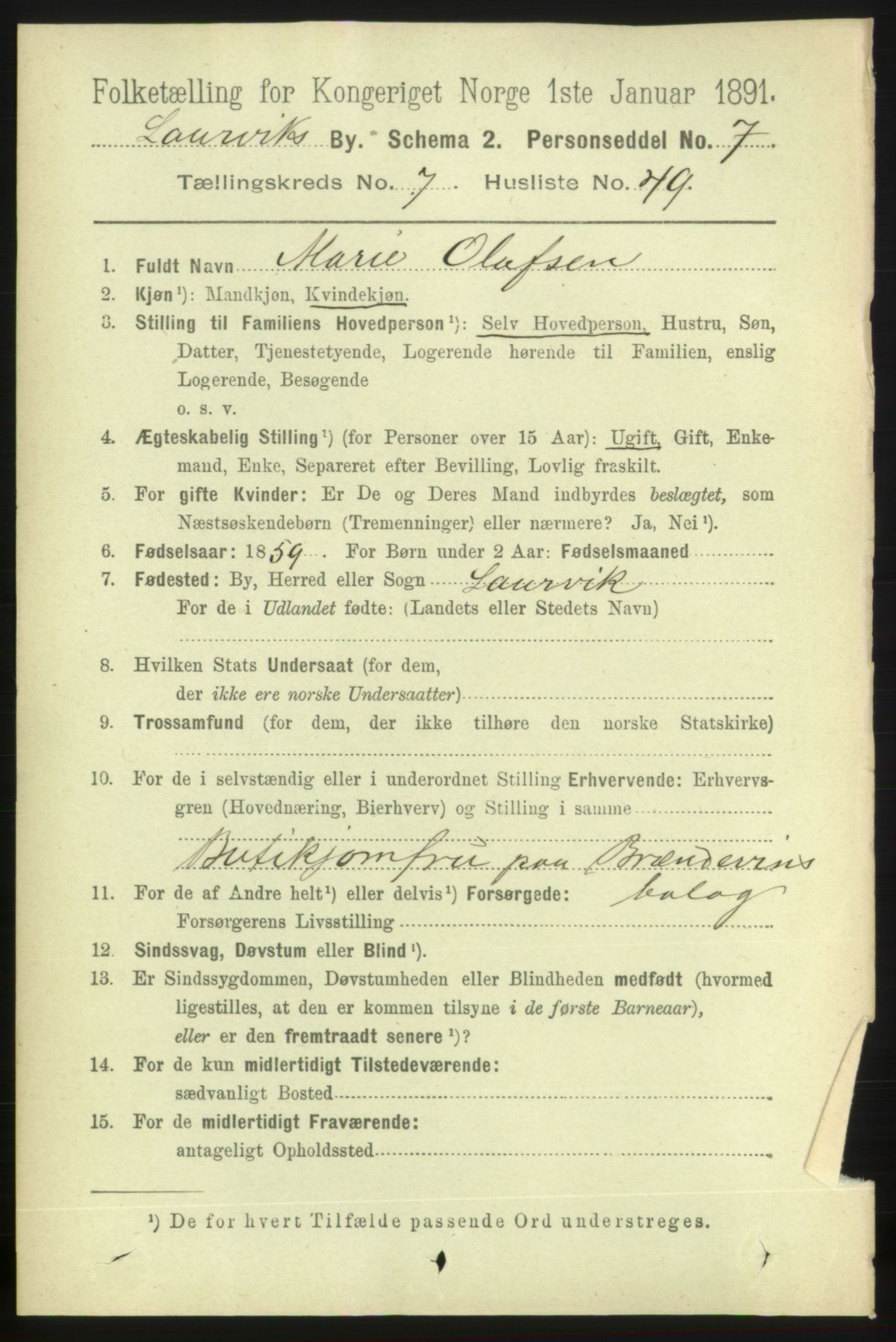 RA, 1891 census for 0707 Larvik, 1891, p. 7813