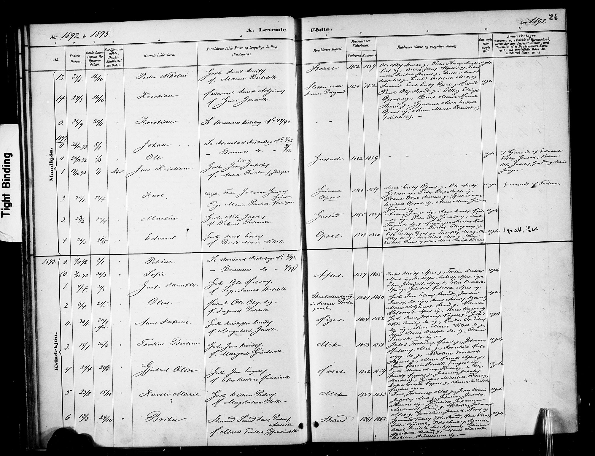 Ministerialprotokoller, klokkerbøker og fødselsregistre - Møre og Romsdal, AV/SAT-A-1454/568/L0809: Parish register (official) no. 568A13, 1884-1900, p. 24