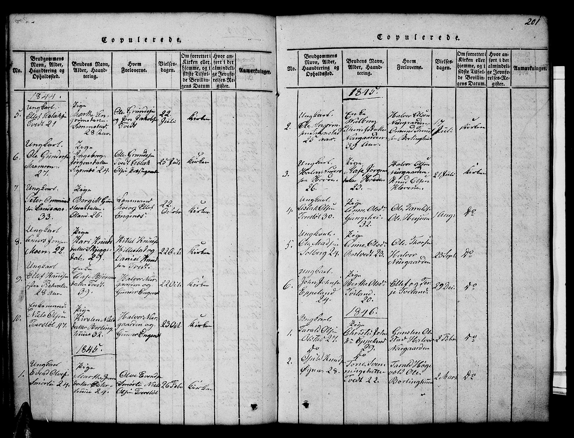 Åmli sokneprestkontor, AV/SAK-1111-0050/F/Fb/Fbc/L0001: Parish register (copy) no. B 1, 1816-1867, p. 201