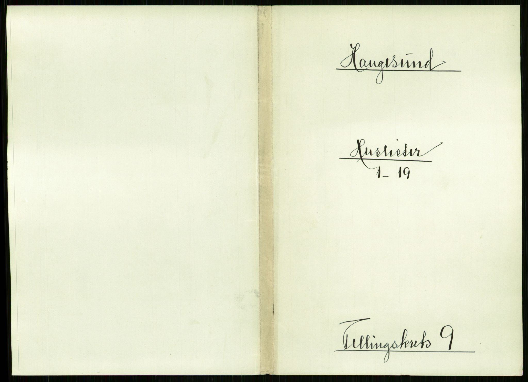 RA, 1891 census for 1106 Haugesund, 1891, p. 641