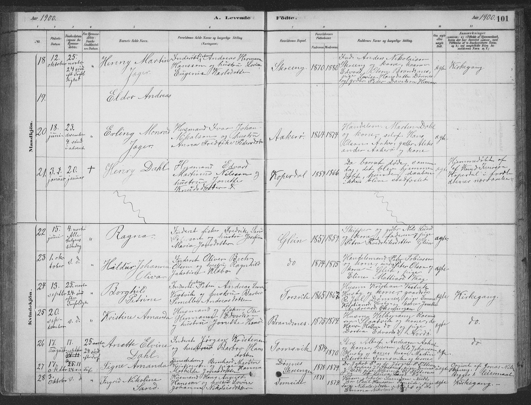 Ministerialprotokoller, klokkerbøker og fødselsregistre - Nordland, SAT/A-1459/835/L0532: Parish register (copy) no. 835C04, 1880-1905, p. 101