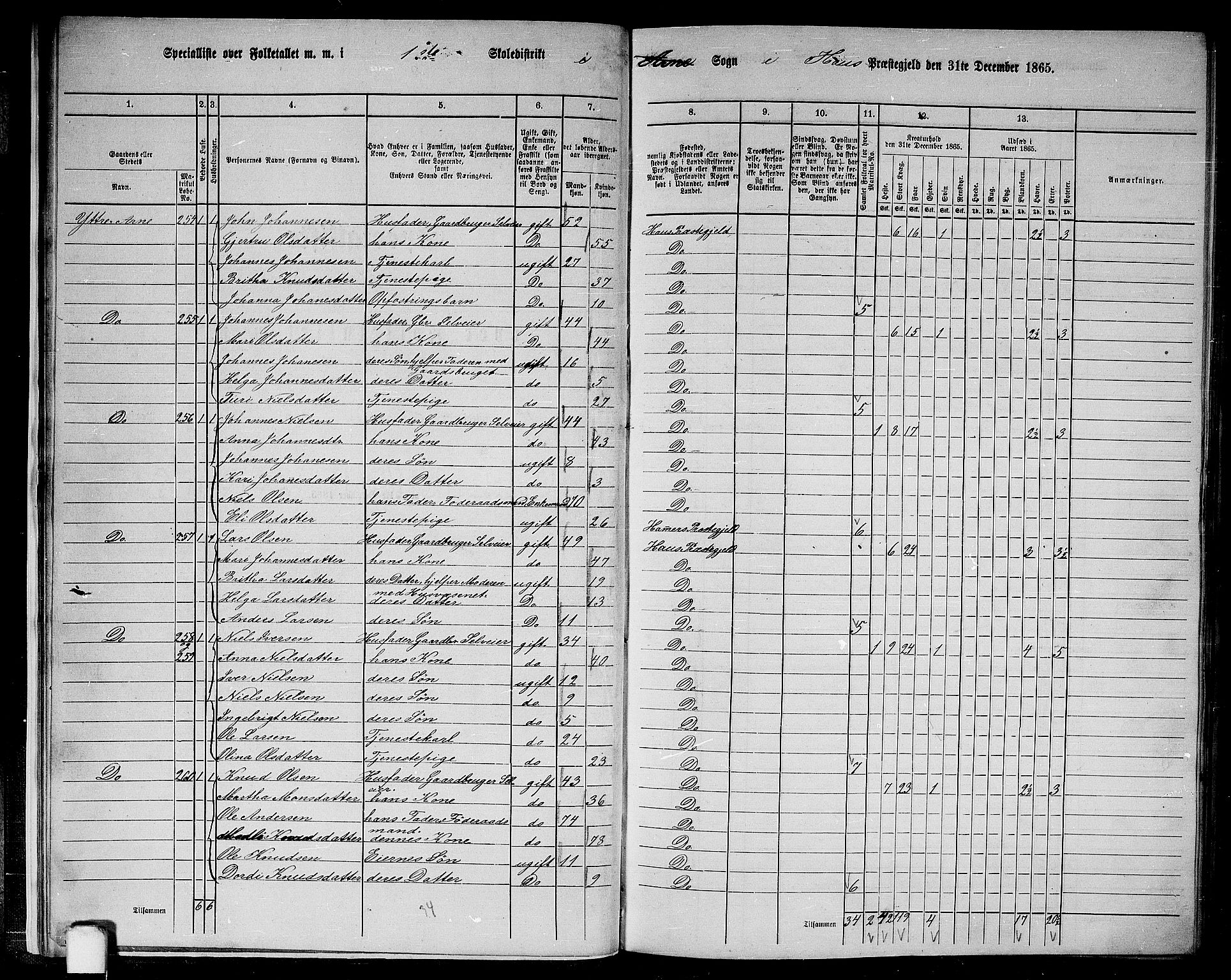 RA, 1865 census for Haus, 1865, p. 18