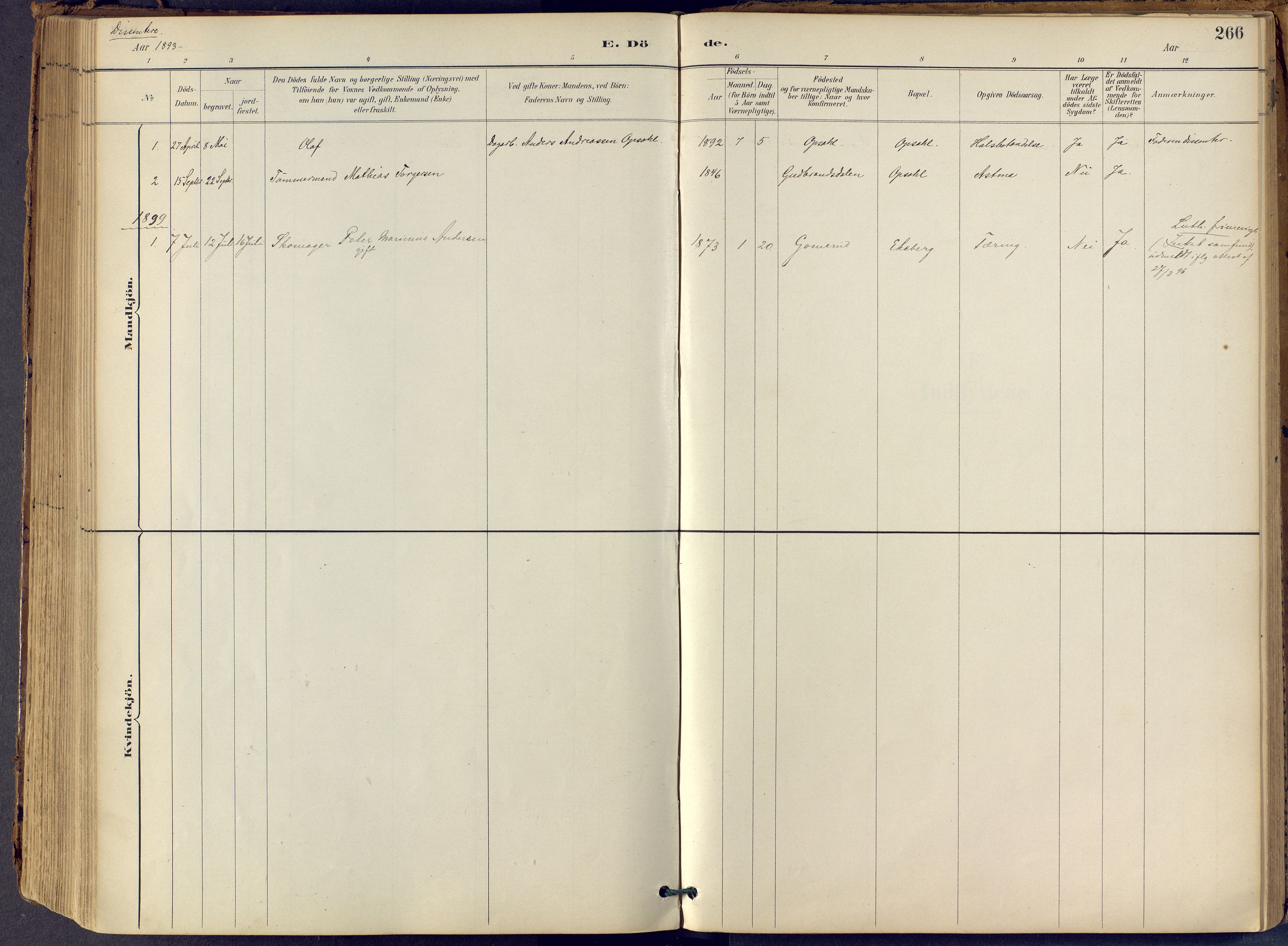 Lier kirkebøker, SAKO/A-230/F/Fb/L0001: Parish register (official) no. II 1, 1883-1910, p. 266