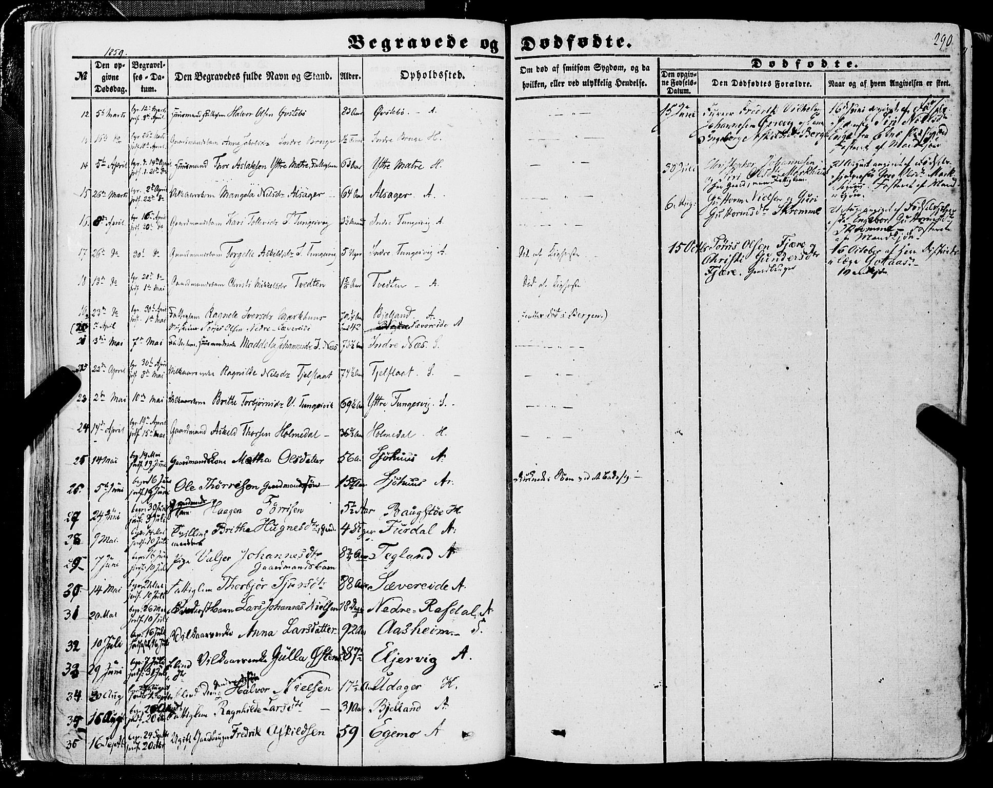 Skånevik sokneprestembete, SAB/A-77801/H/Haa: Parish register (official) no. A 5II, 1848-1869, p. 290
