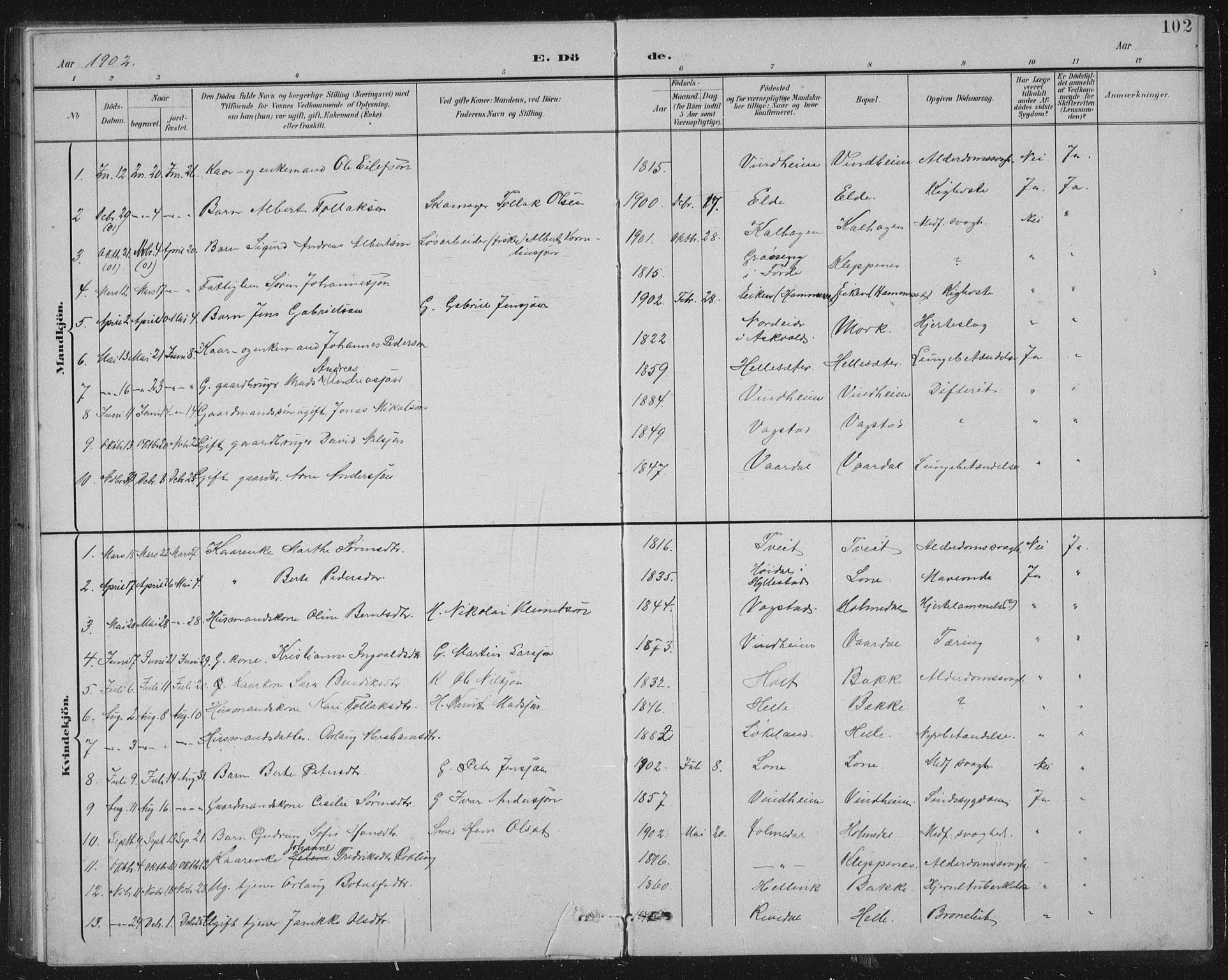 Fjaler sokneprestembete, AV/SAB-A-79801/H/Hab/Habb/L0002: Parish register (copy) no. B 2, 1895-1915, p. 102