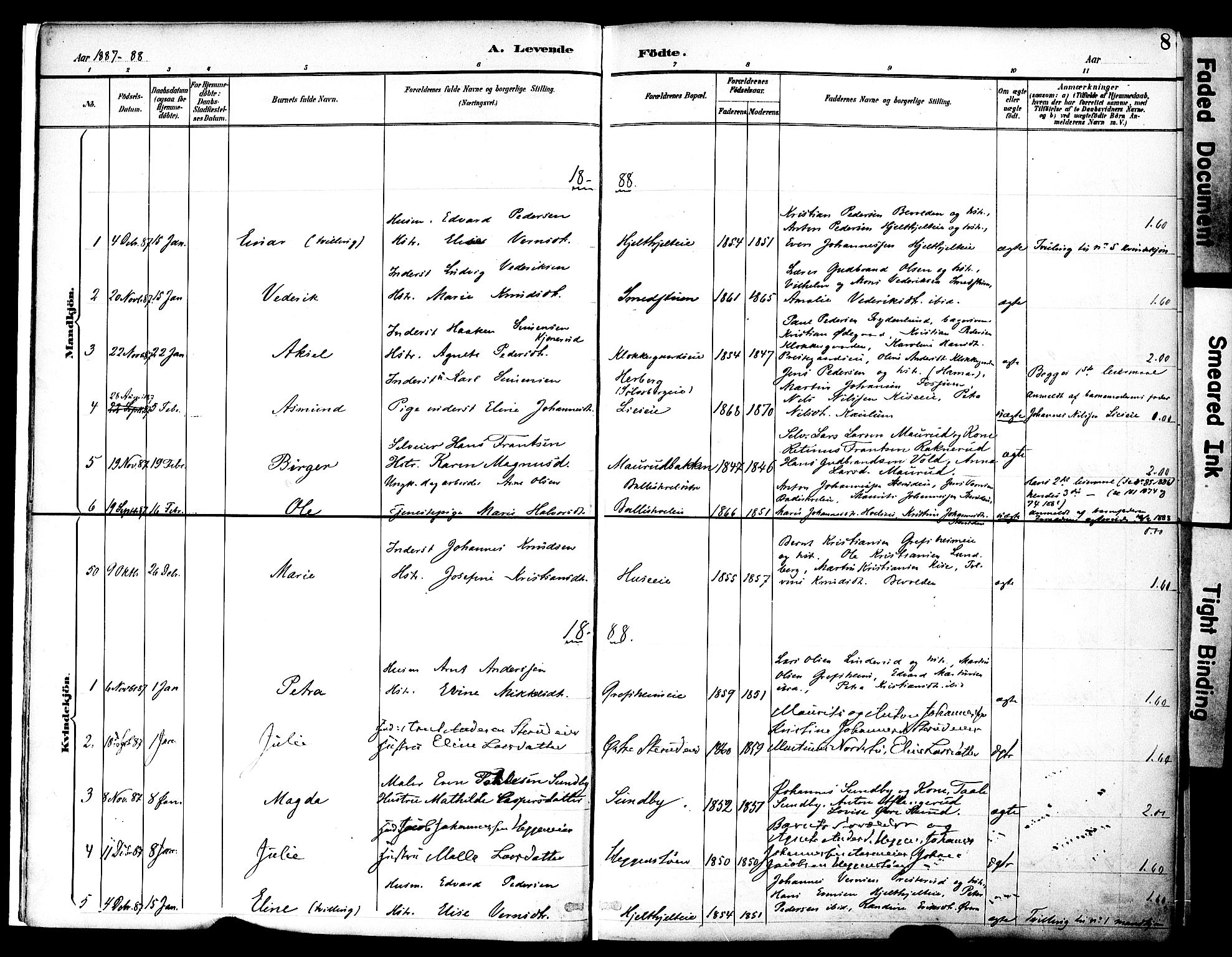 Nes prestekontor, Hedmark, SAH/PREST-020/K/Ka/L0009: Parish register (official) no. 9, 1887-1905, p. 8