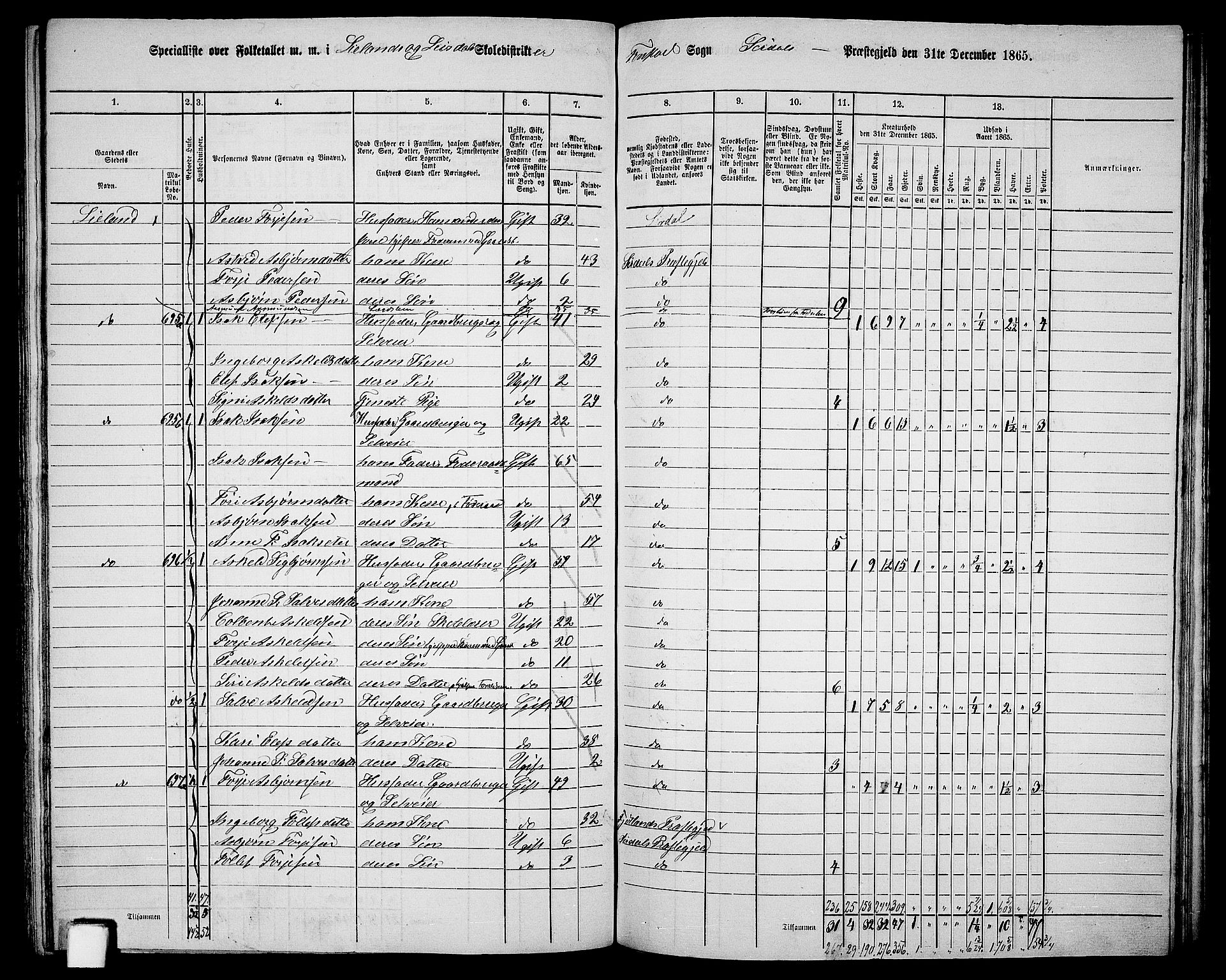 RA, 1865 census for Sirdal, 1865, p. 44