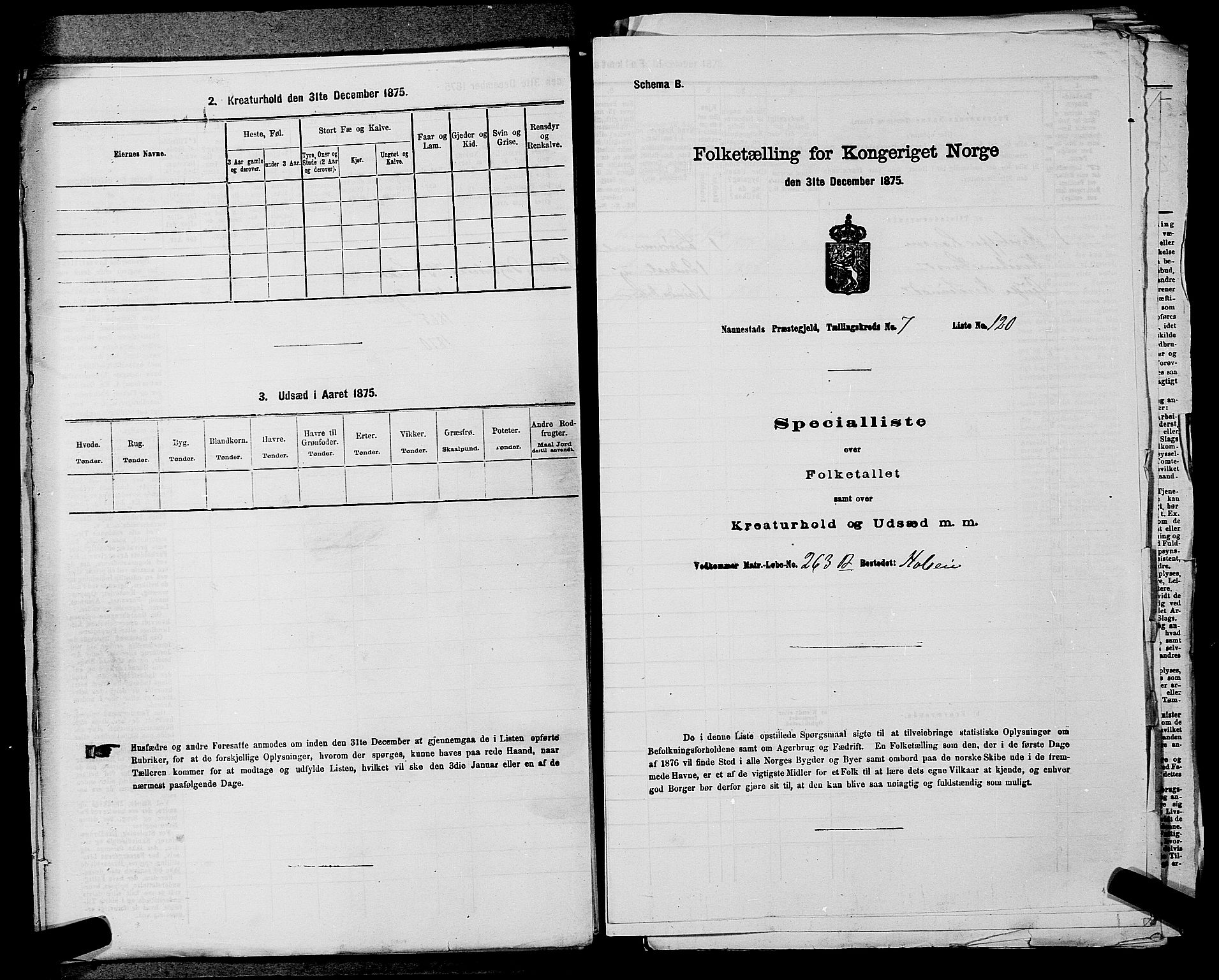 RA, 1875 census for 0238P Nannestad, 1875, p. 1244