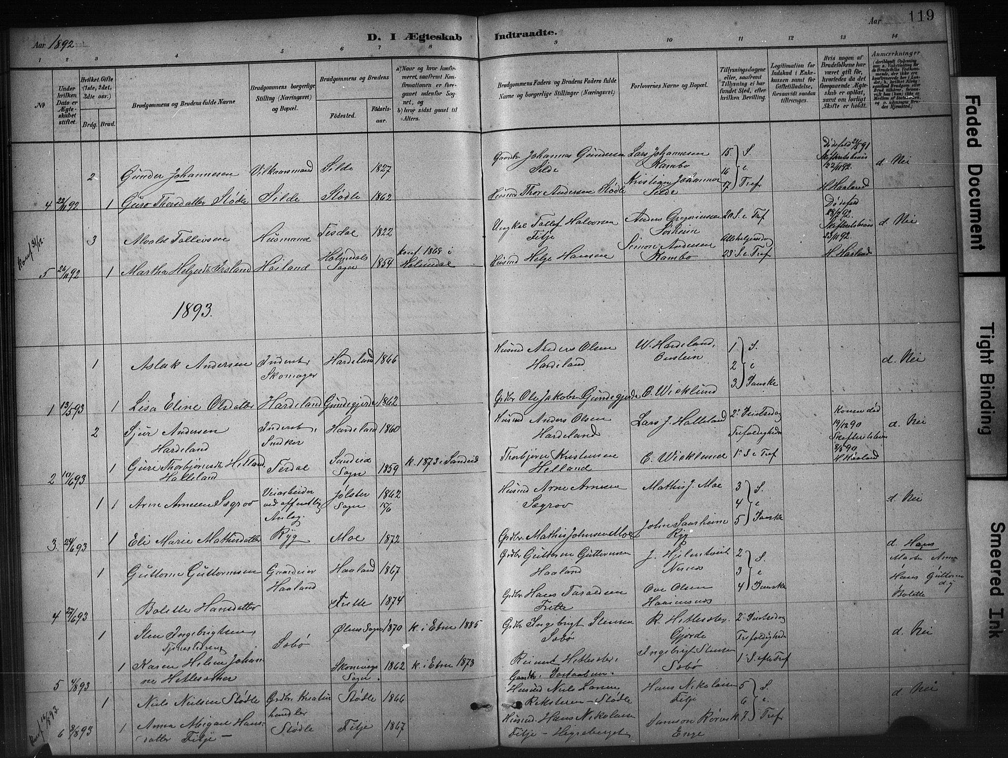 Etne sokneprestembete, SAB/A-75001/H/Hab: Parish register (copy) no. A 5, 1879-1896, p. 119