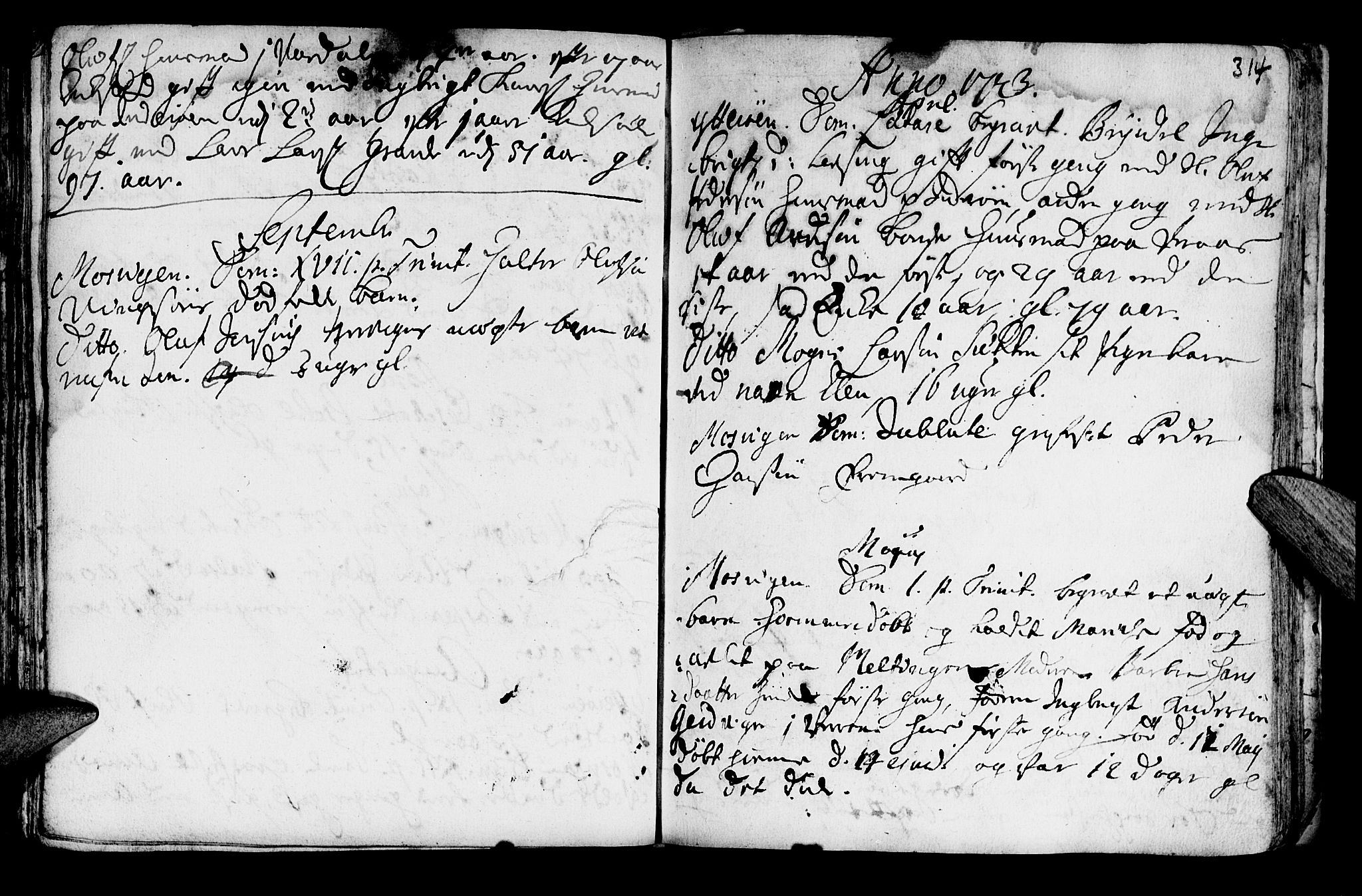 Ministerialprotokoller, klokkerbøker og fødselsregistre - Nord-Trøndelag, SAT/A-1458/722/L0215: Parish register (official) no. 722A02, 1718-1755, p. 314