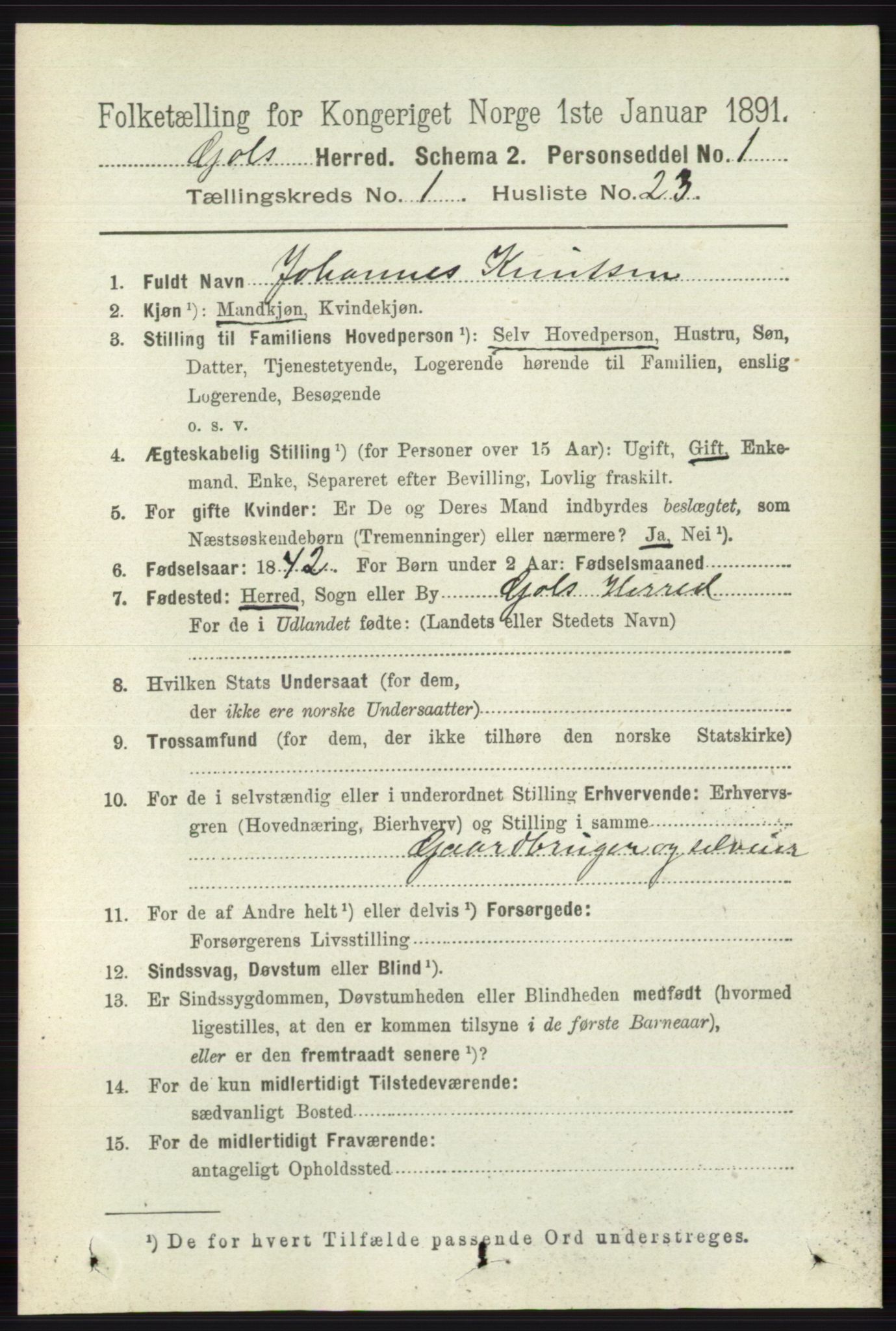 RA, 1891 census for 0617 Gol og Hemsedal, 1891, p. 223