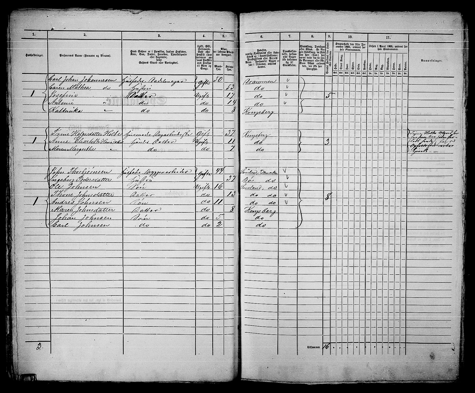 RA, 1865 census for Kongsberg/Kongsberg, 1865, p. 553