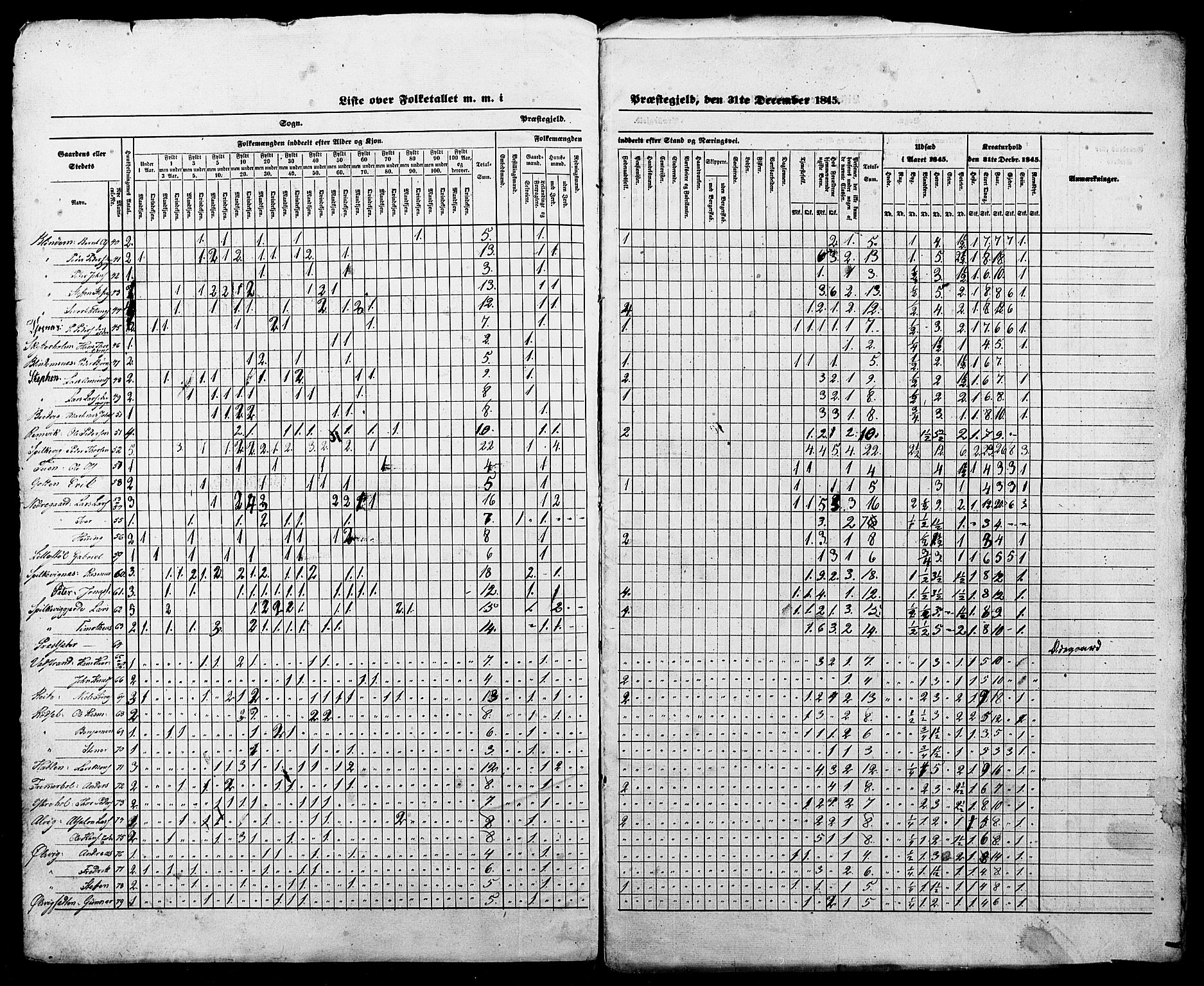 SAT, Census 1845 for Borgund, 1845, p. 8