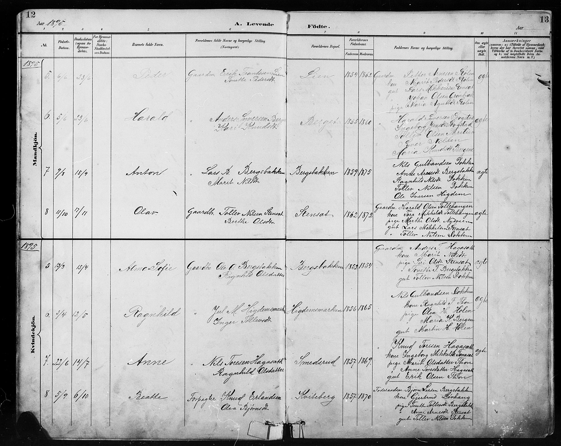 Etnedal prestekontor, SAH/PREST-130/H/Ha/Hab/Habb/L0001: Parish register (copy) no. II 1, 1894-1911, p. 12-13