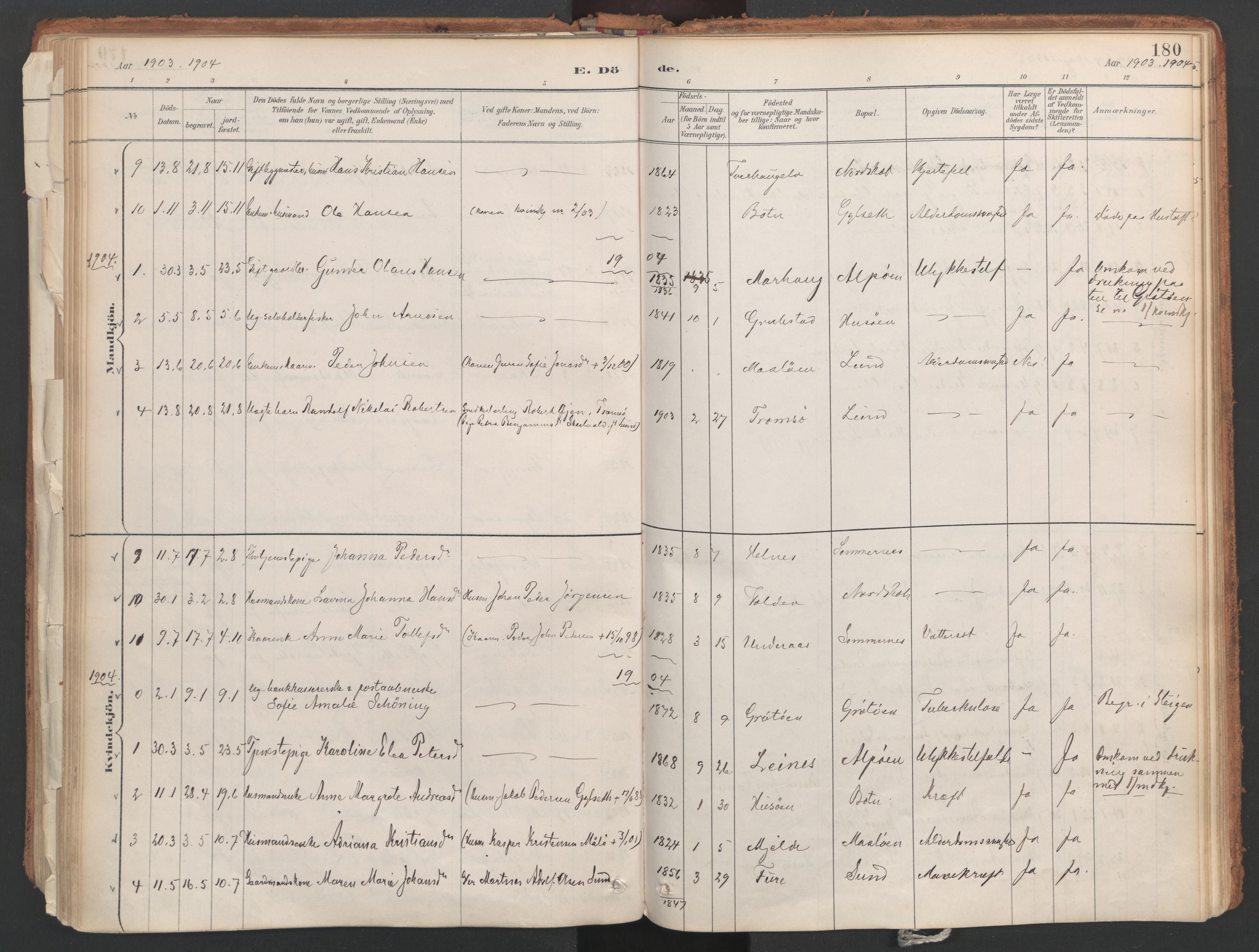 Ministerialprotokoller, klokkerbøker og fødselsregistre - Nordland, AV/SAT-A-1459/857/L0822: Parish register (official) no. 857A02, 1890-1917, p. 180