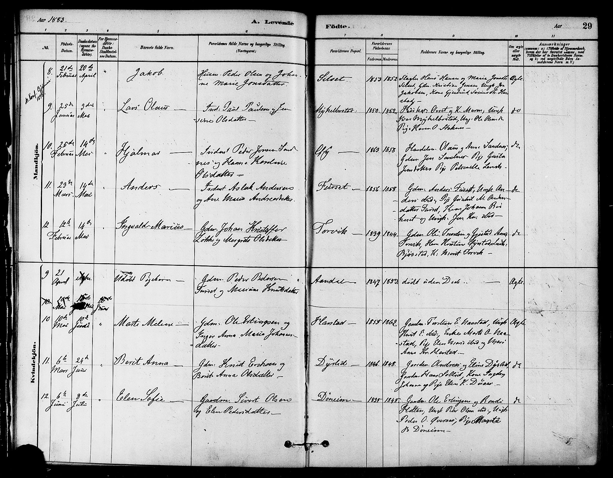 Ministerialprotokoller, klokkerbøker og fødselsregistre - Møre og Romsdal, AV/SAT-A-1454/584/L0967: Parish register (official) no. 584A07, 1879-1894, p. 29