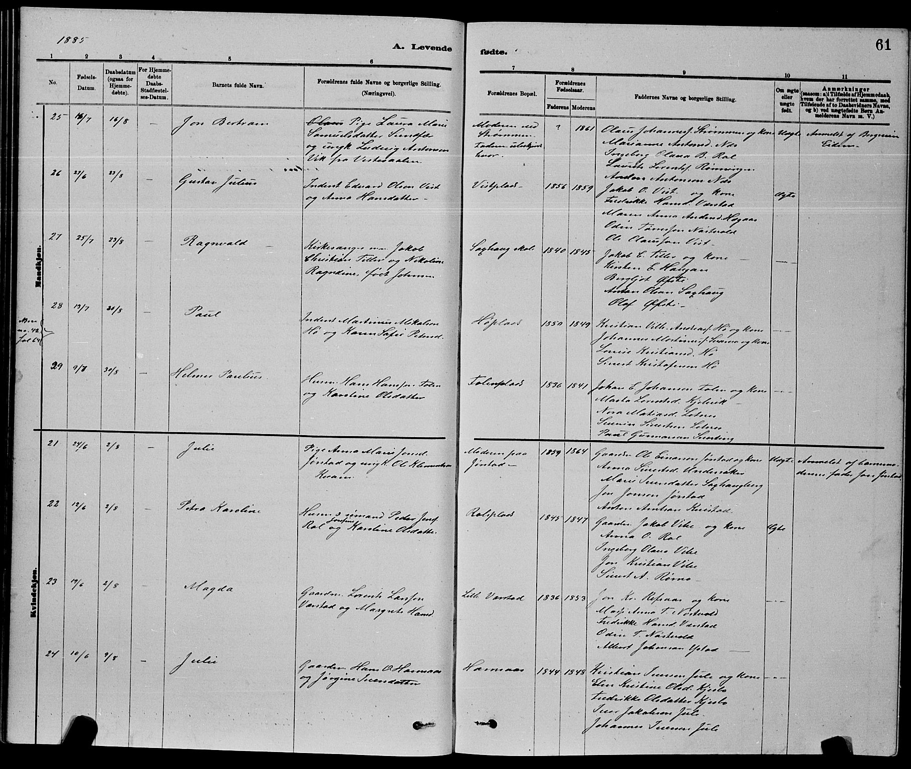 Ministerialprotokoller, klokkerbøker og fødselsregistre - Nord-Trøndelag, AV/SAT-A-1458/730/L0301: Parish register (copy) no. 730C04, 1880-1897, p. 61