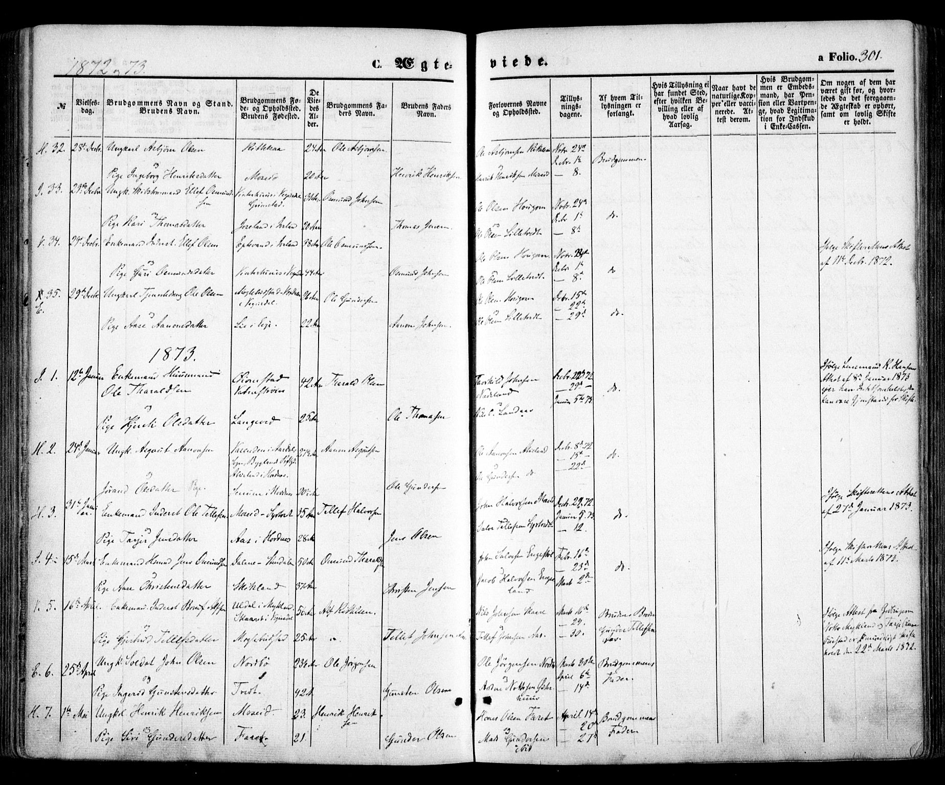 Evje sokneprestkontor, SAK/1111-0008/F/Fa/Faa/L0006: Parish register (official) no. A 6, 1866-1884, p. 301