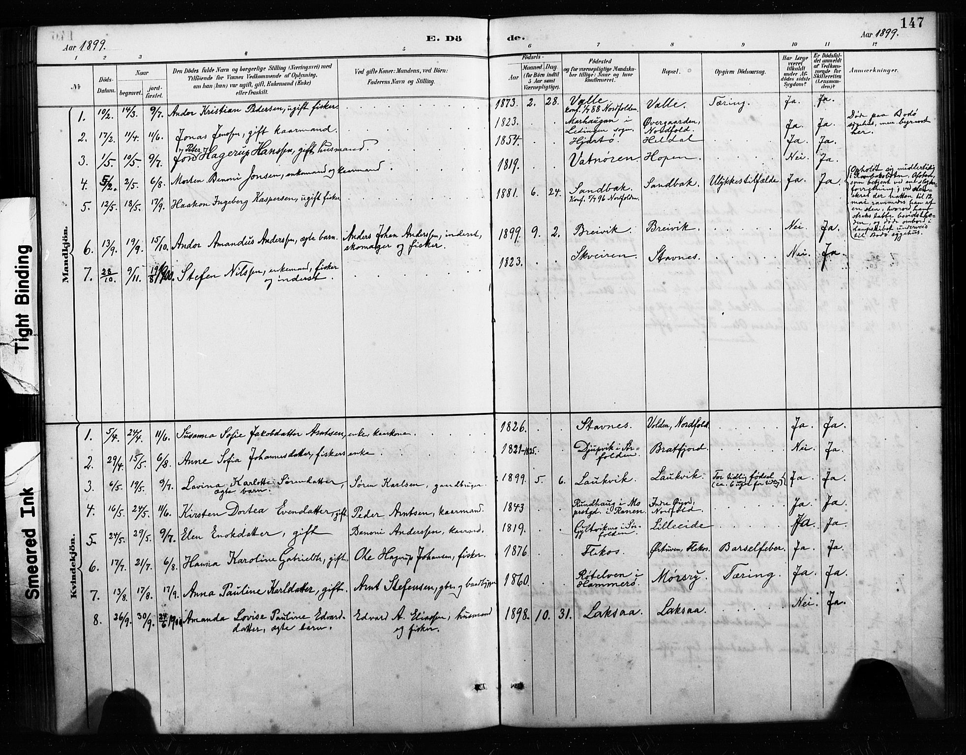 Ministerialprotokoller, klokkerbøker og fødselsregistre - Nordland, AV/SAT-A-1459/858/L0834: Parish register (copy) no. 858C01, 1884-1904, p. 147