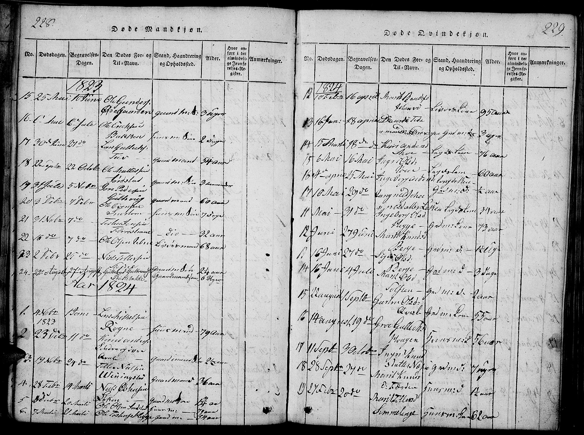 Slidre prestekontor, SAH/PREST-134/H/Ha/Haa/L0002: Parish register (official) no. 2, 1814-1830, p. 228-229