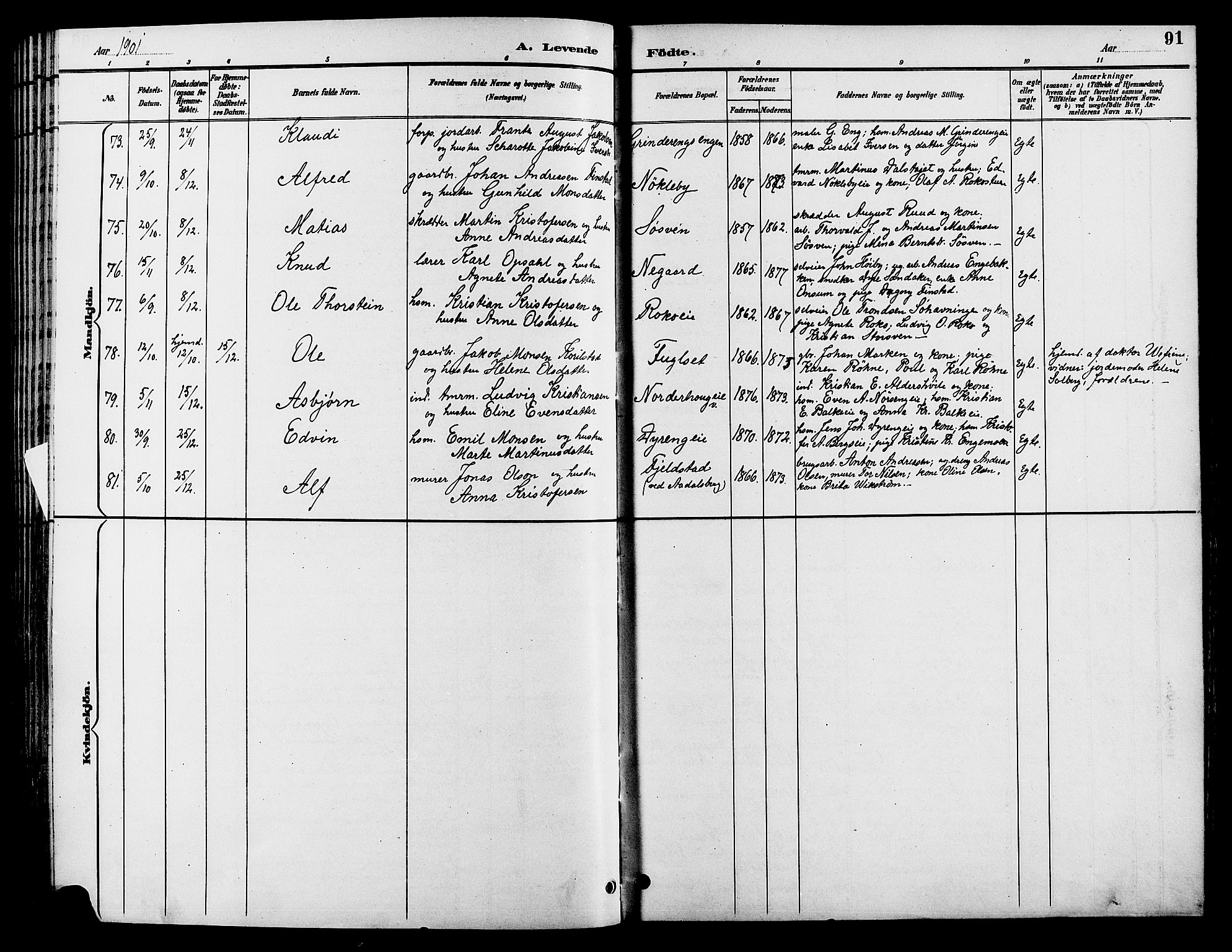 Løten prestekontor, AV/SAH-PREST-022/L/La/L0006: Parish register (copy) no. 6, 1892-1909, p. 91