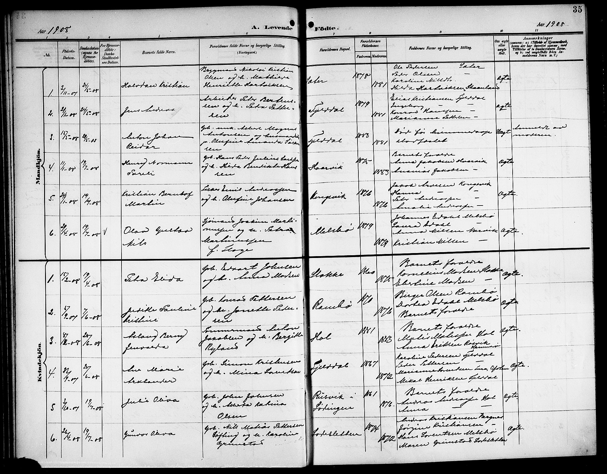 Ministerialprotokoller, klokkerbøker og fødselsregistre - Nordland, AV/SAT-A-1459/865/L0932: Parish register (copy) no. 865C04, 1901-1917, p. 35