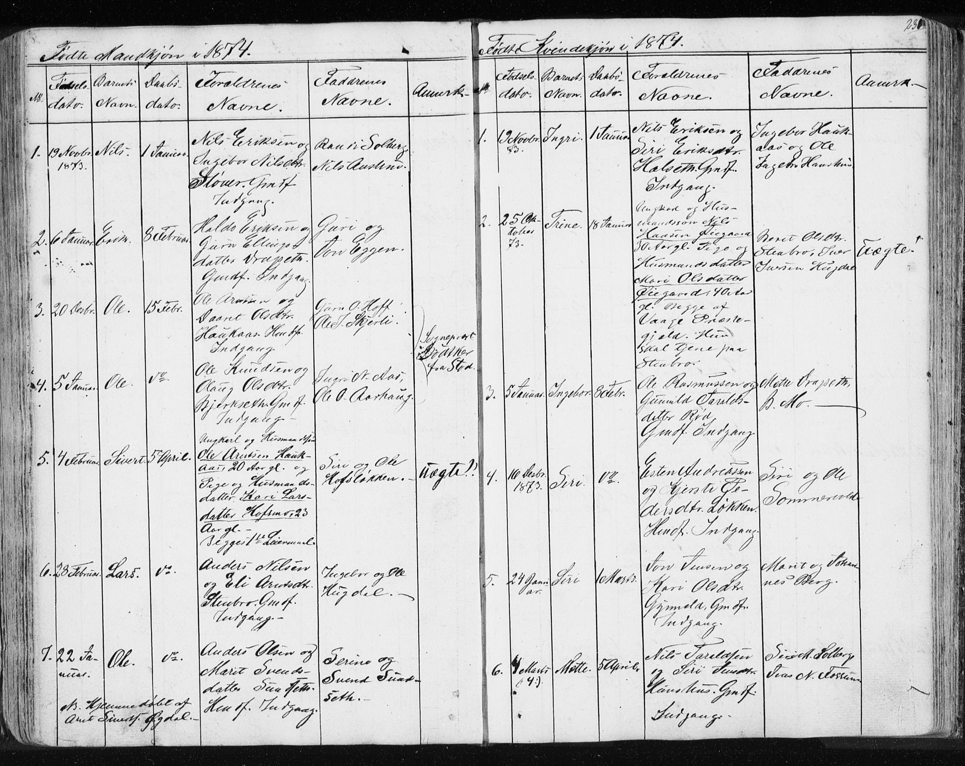 Ministerialprotokoller, klokkerbøker og fødselsregistre - Sør-Trøndelag, SAT/A-1456/689/L1043: Parish register (copy) no. 689C02, 1816-1892, p. 231