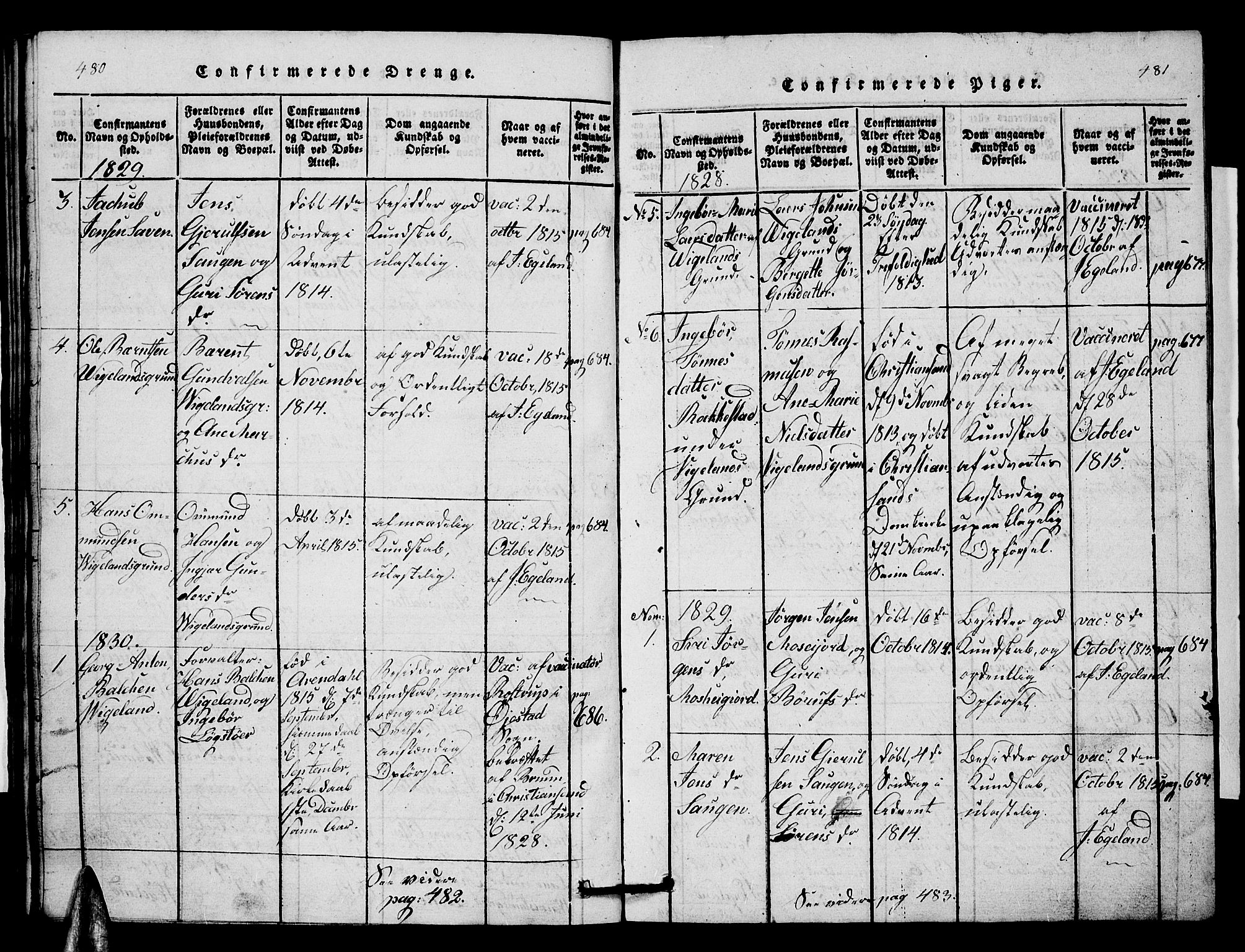 Vennesla sokneprestkontor, AV/SAK-1111-0045/Fb/Fbb/L0001: Parish register (copy) no. B 1, 1820-1834, p. 480-481