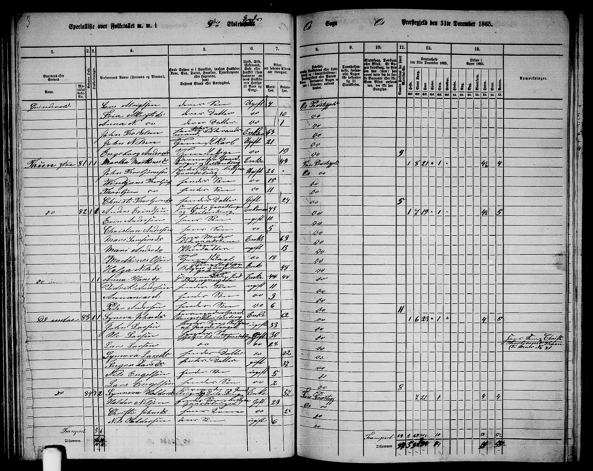 RA, 1865 census for Os, 1865, p. 49