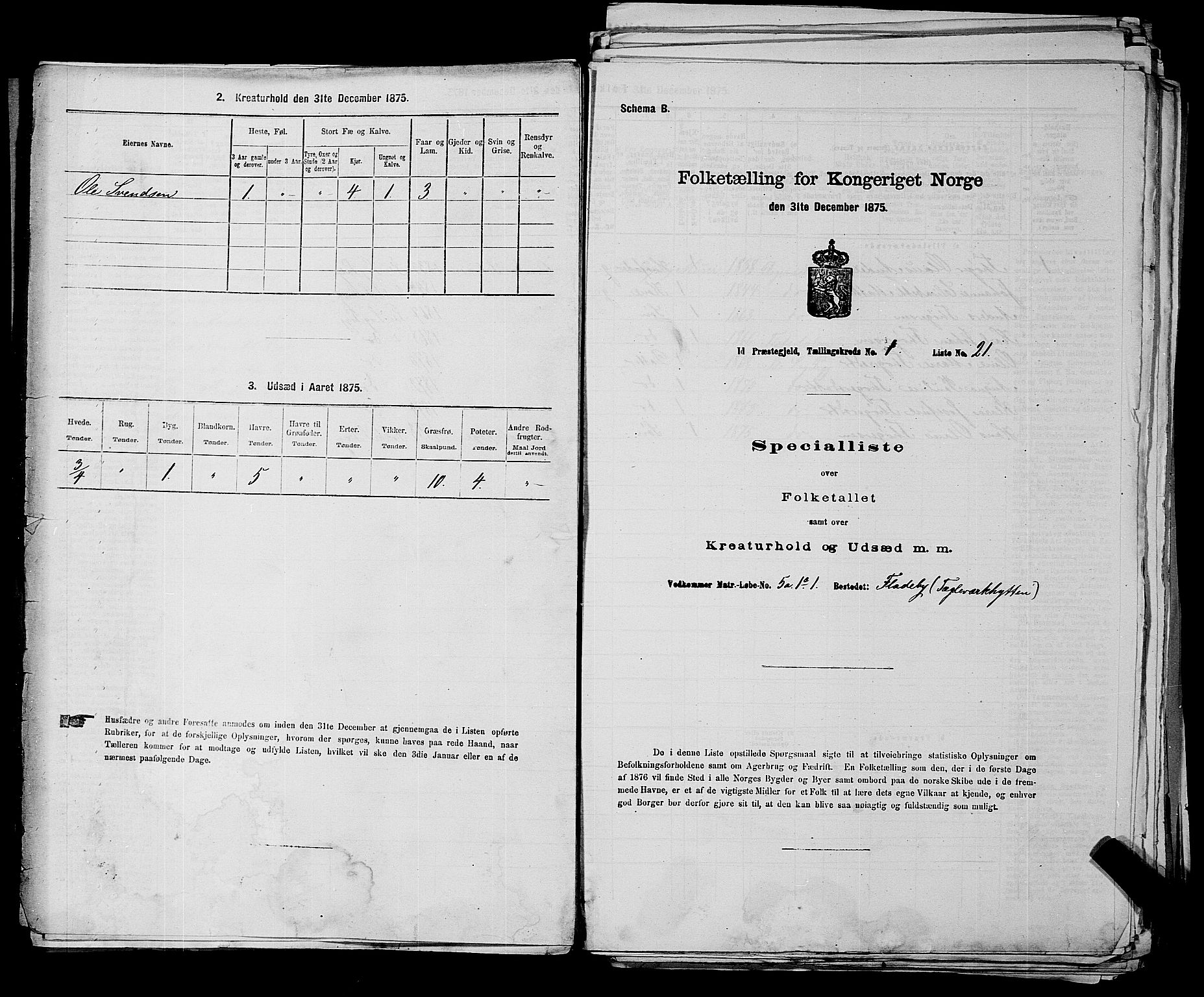 RA, 1875 census for 0117P Idd, 1875, p. 67