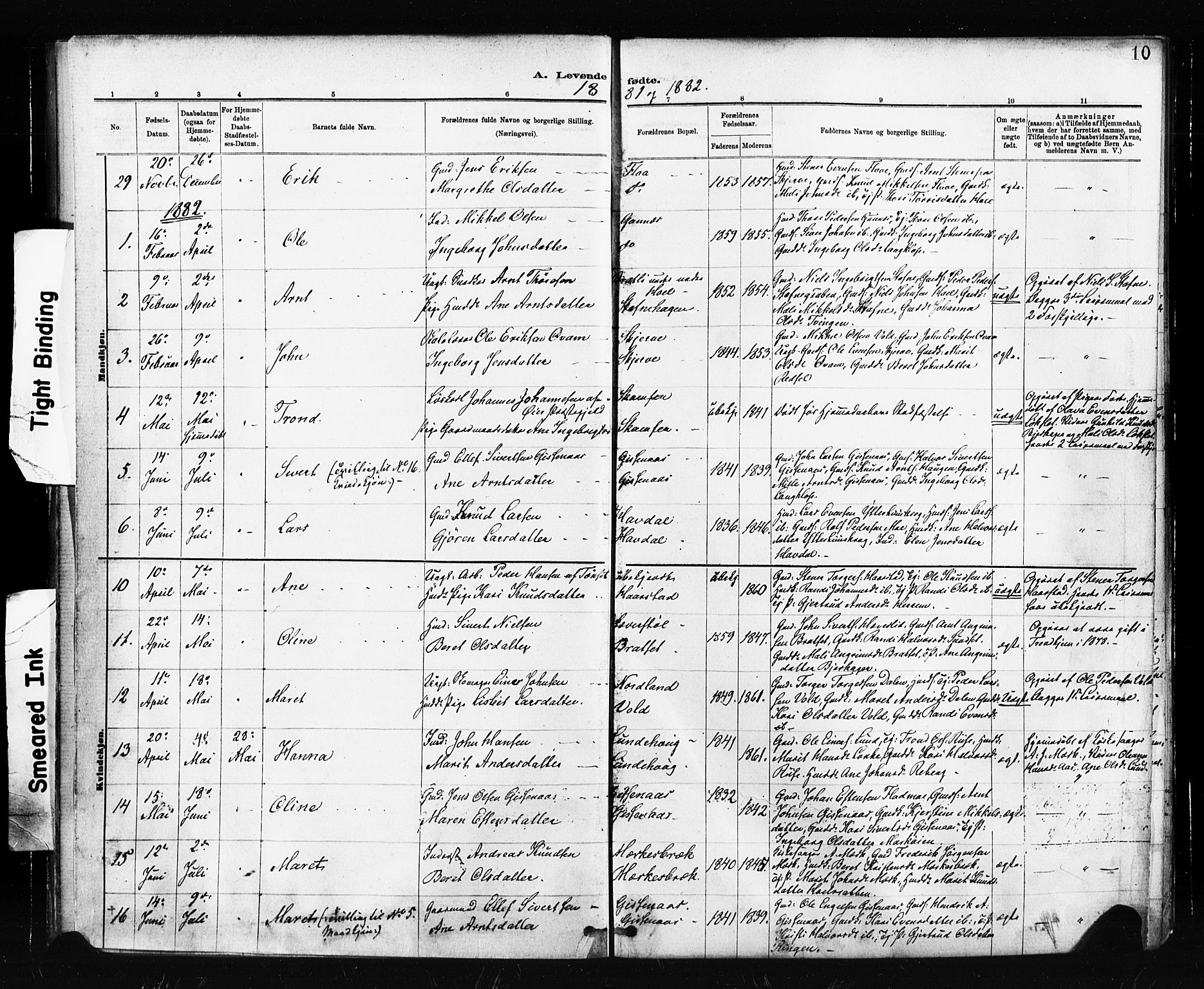 Ministerialprotokoller, klokkerbøker og fødselsregistre - Sør-Trøndelag, SAT/A-1456/674/L0871: Parish register (official) no. 674A03, 1880-1896, p. 10