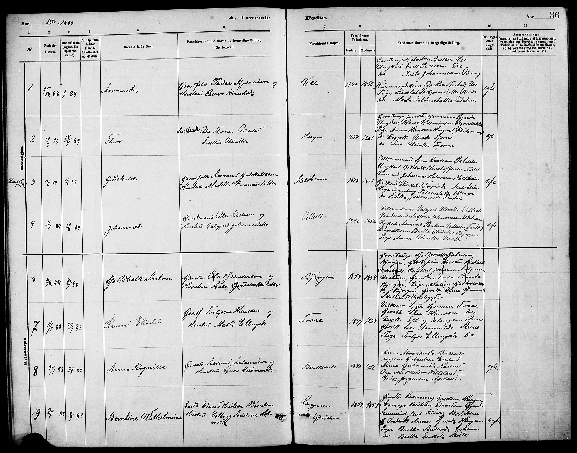 Etne sokneprestembete, SAB/A-75001/H/Hab: Parish register (copy) no. B 4, 1879-1897, p. 36