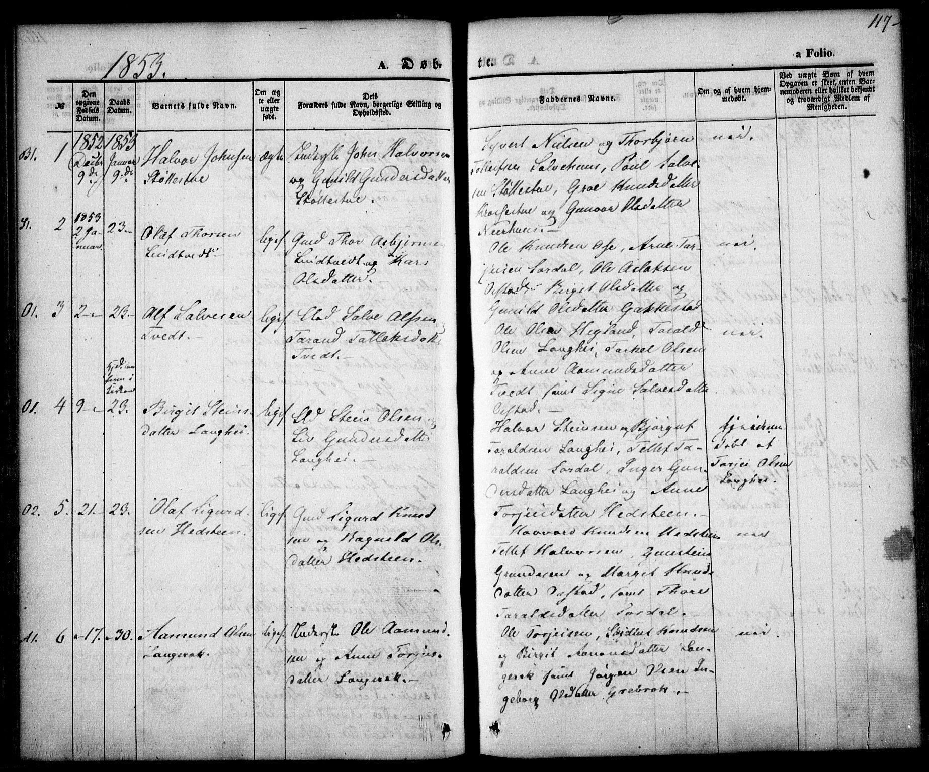 Bygland sokneprestkontor, SAK/1111-0006/F/Fa/Fab/L0004: Parish register (official) no. A 4, 1842-1858, p. 117