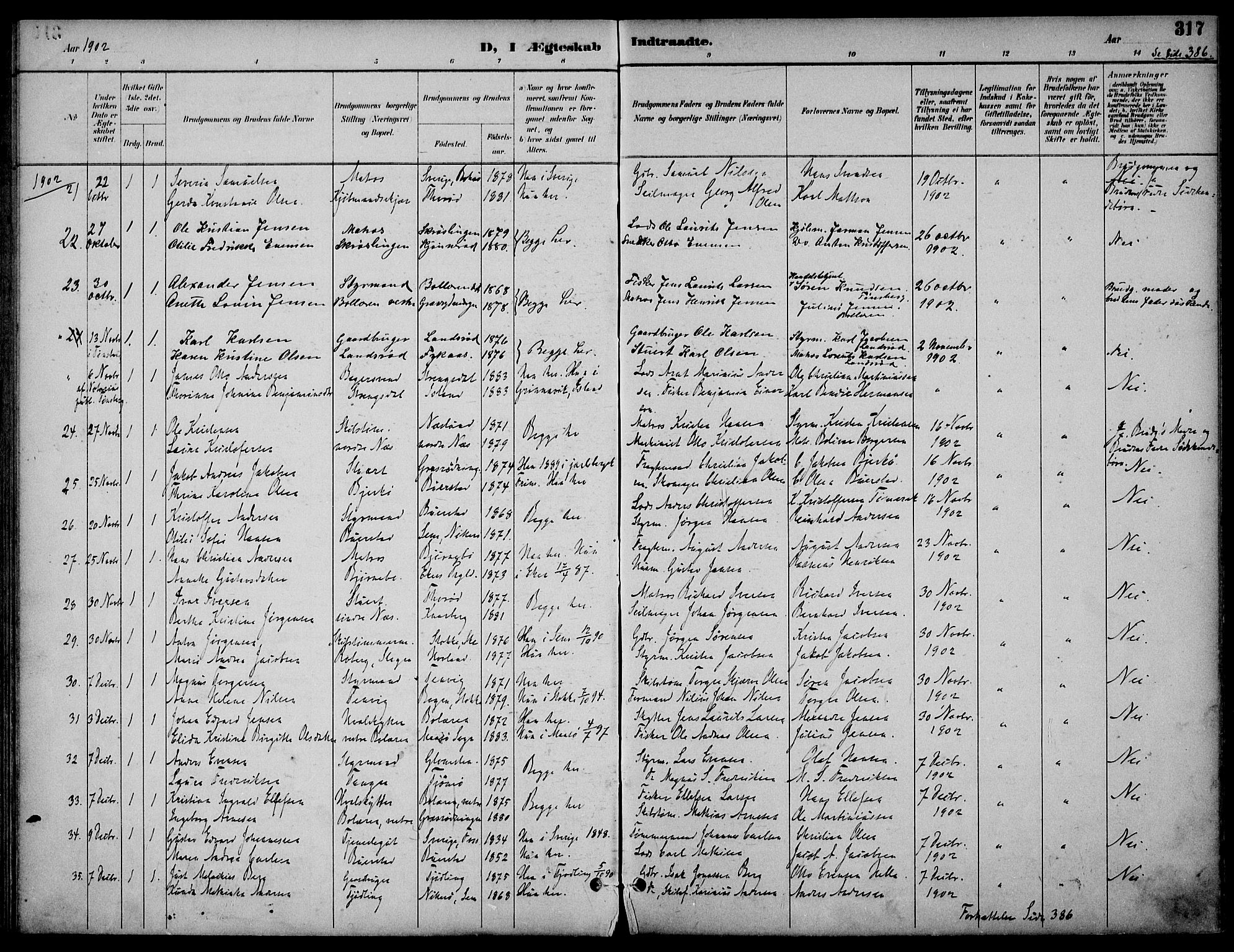 Nøtterøy kirkebøker, AV/SAKO-A-354/F/Fa/L0009: Parish register (official) no. I 9, 1894-1907, p. 317