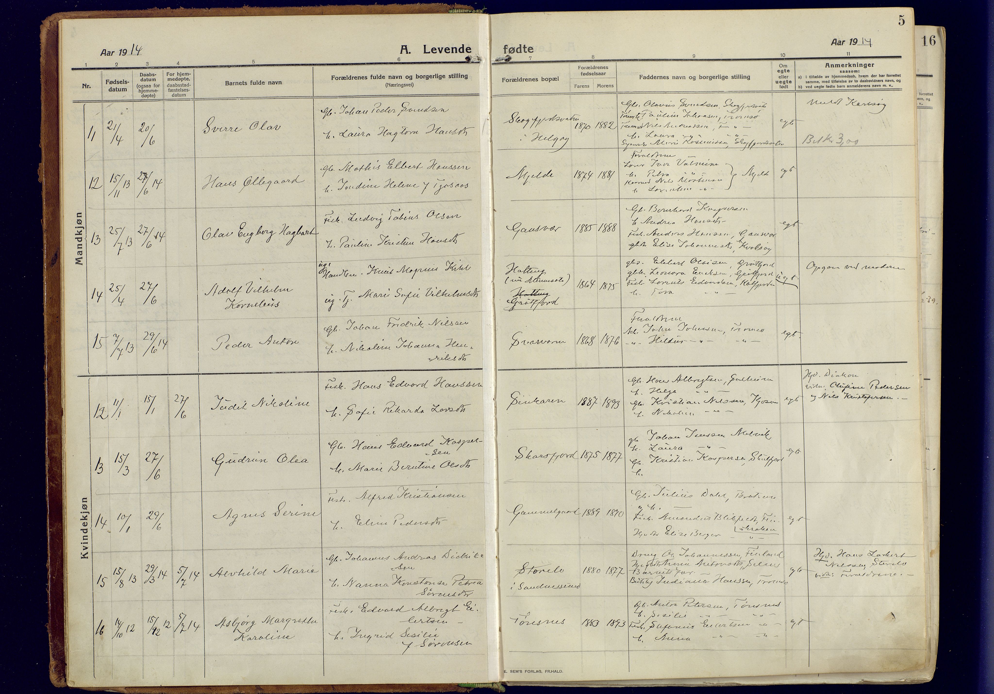 Tromsøysund sokneprestkontor, AV/SATØ-S-1304/G/Ga/L0008kirke: Parish register (official) no. 8, 1914-1922, p. 5