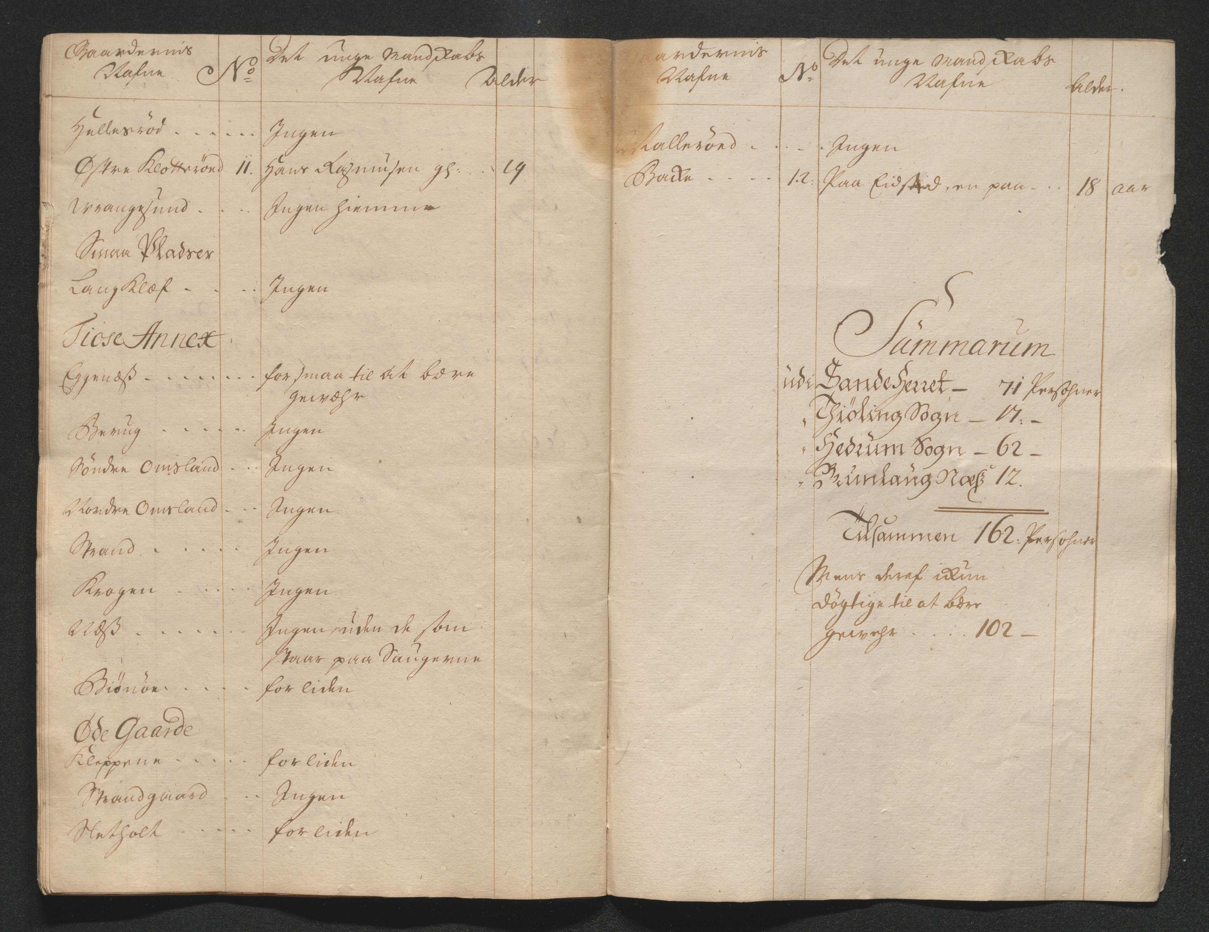 Larvik grevskap, AV/SAKO-A-1056/F/Ff/Ffa/L0001: Ruller og manntall, 1708-1734, p. 191