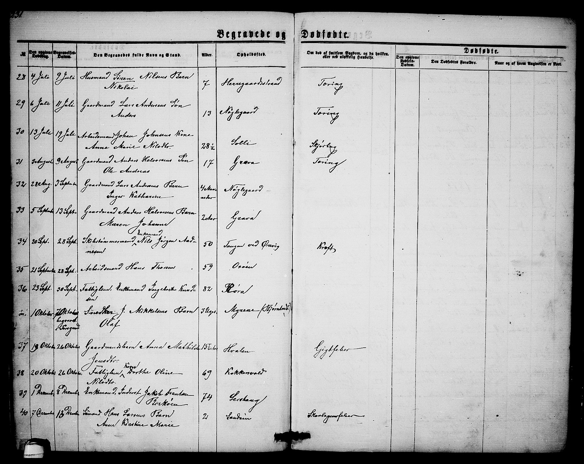 Eidanger kirkebøker, AV/SAKO-A-261/G/Ga/L0001: Parish register (copy) no. 1, 1863-1878, p. 231