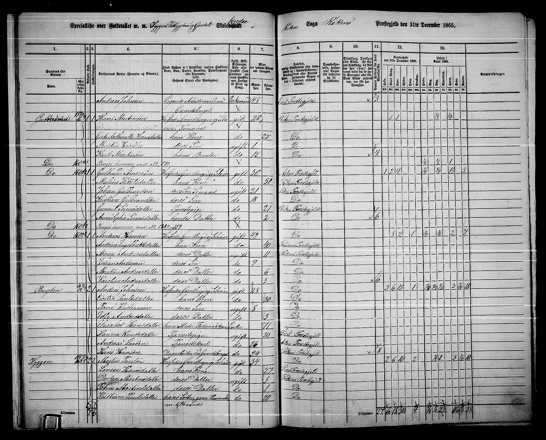 RA, 1865 census for Røyken, 1865, p. 20