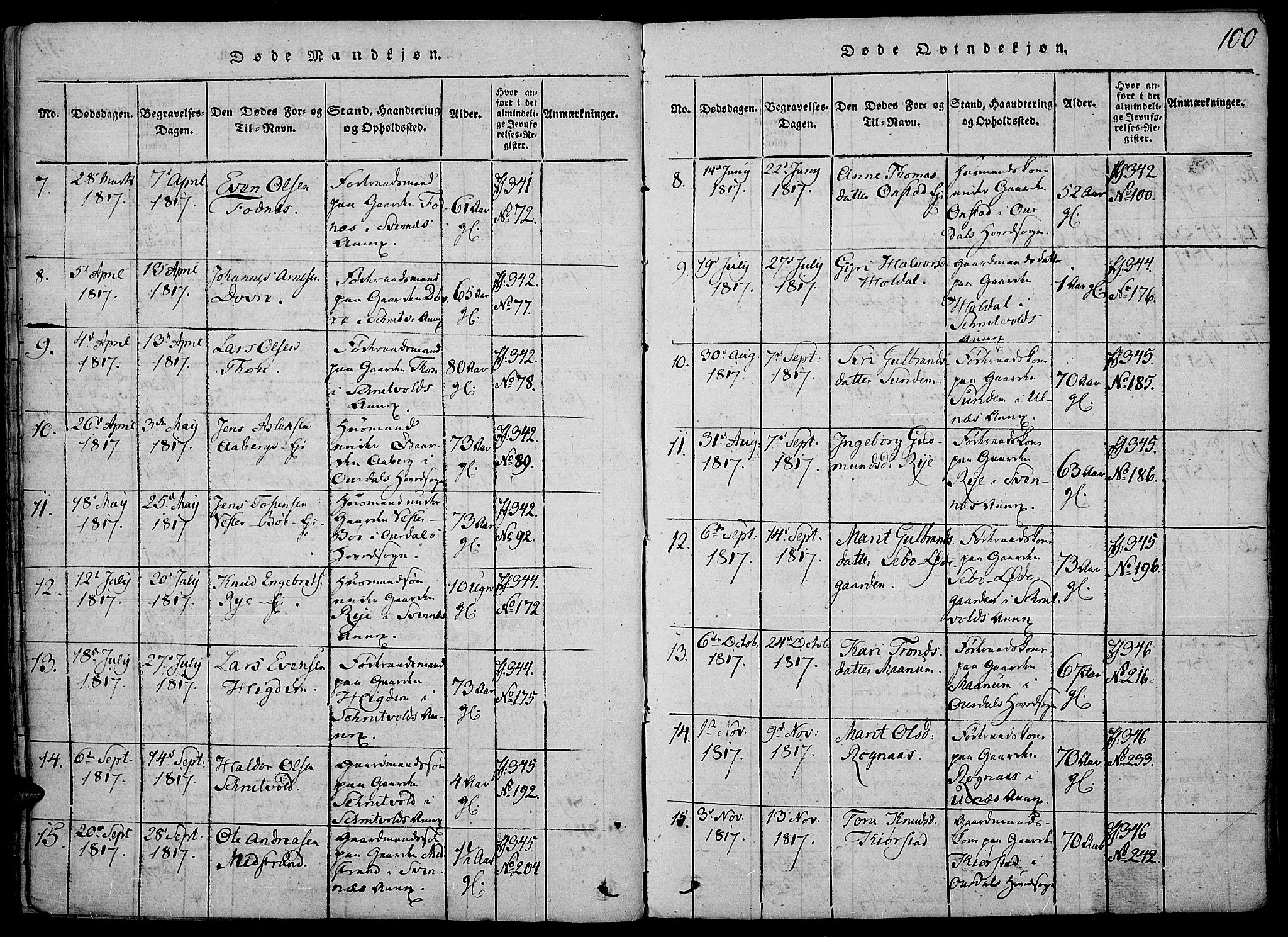 Nord-Aurdal prestekontor, AV/SAH-PREST-132/H/Ha/Haa/L0002: Parish register (official) no. 2, 1816-1828, p. 100