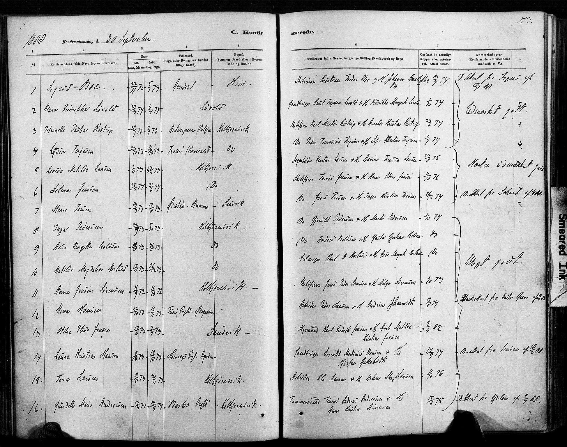 Hisøy sokneprestkontor, AV/SAK-1111-0020/F/Fa/L0003: Parish register (official) no. A 3, 1881-1894, p. 173